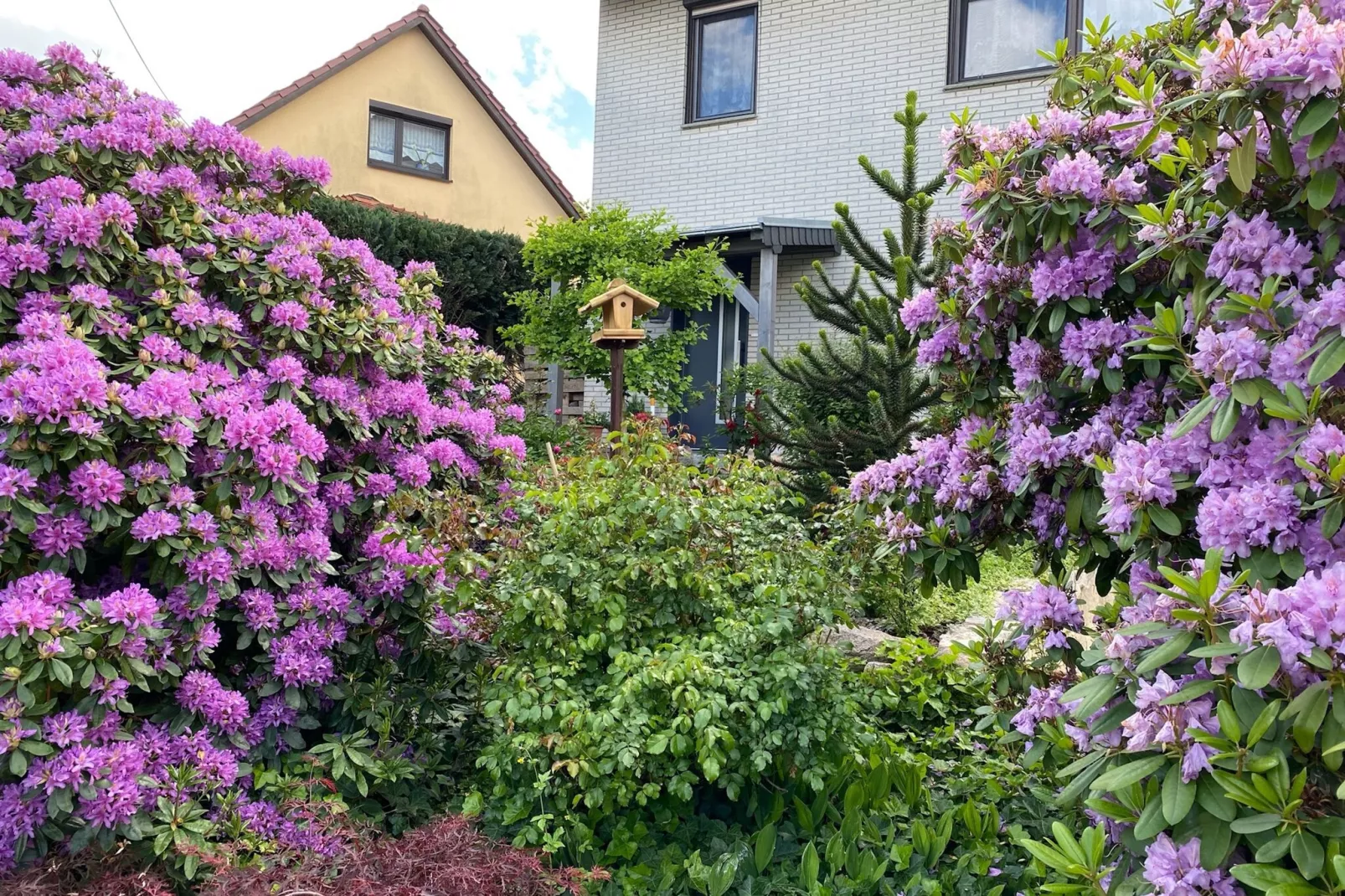 Ferienwohnung Apelt-Buitenkant zomer