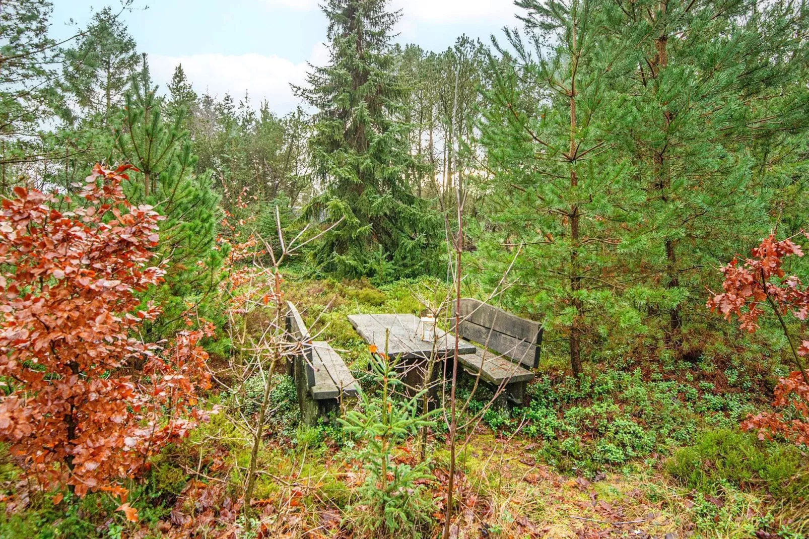 Gezellig plattelandshuis in Herning midden in het bos-Uitzicht