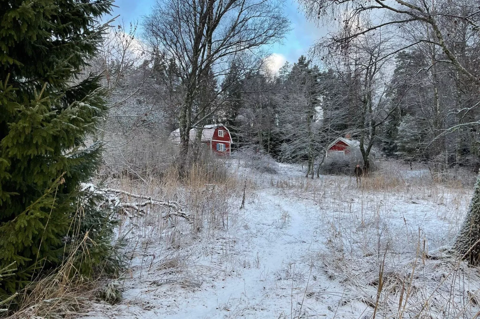 6 persoons vakantie huis in JÄRNA