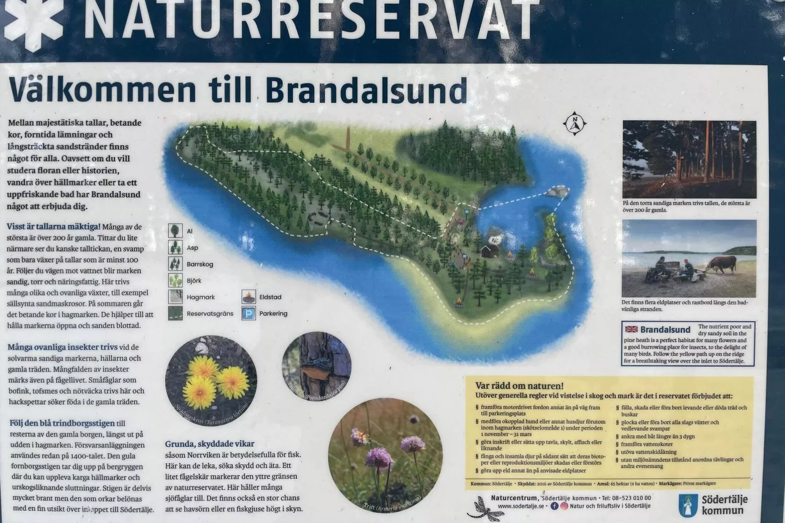 6 persoons vakantie huis in JÄRNA-By Traum-Niet-getagd