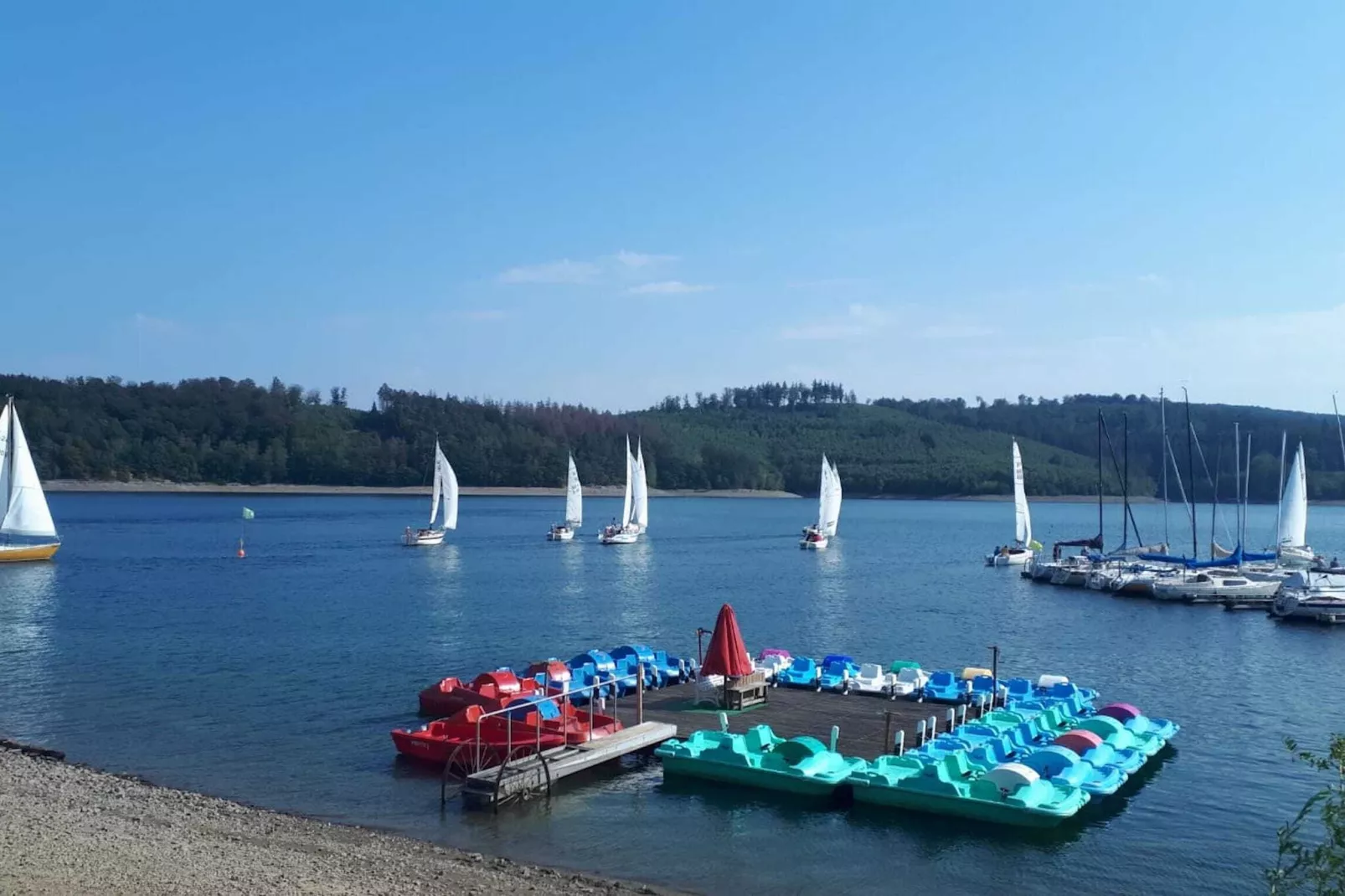 Am Sorpesee-Gebieden zomer 1km