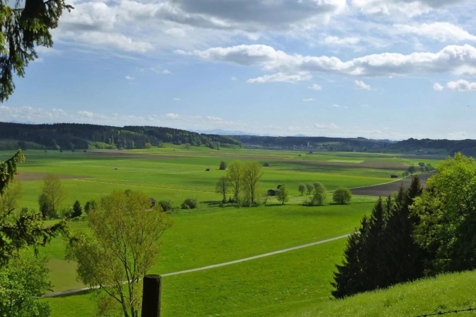 Holiday farm Friesenried-Bauernhaus Amm-Gebieden zomer 5km