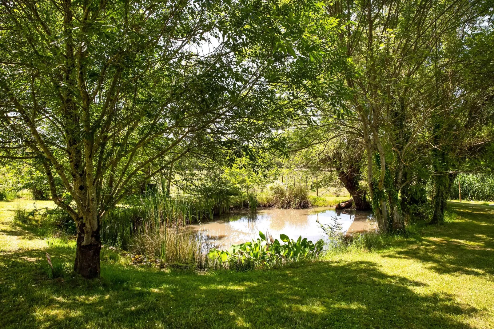 Domaine de Geneviève des Vignes-Gebieden zomer 1km