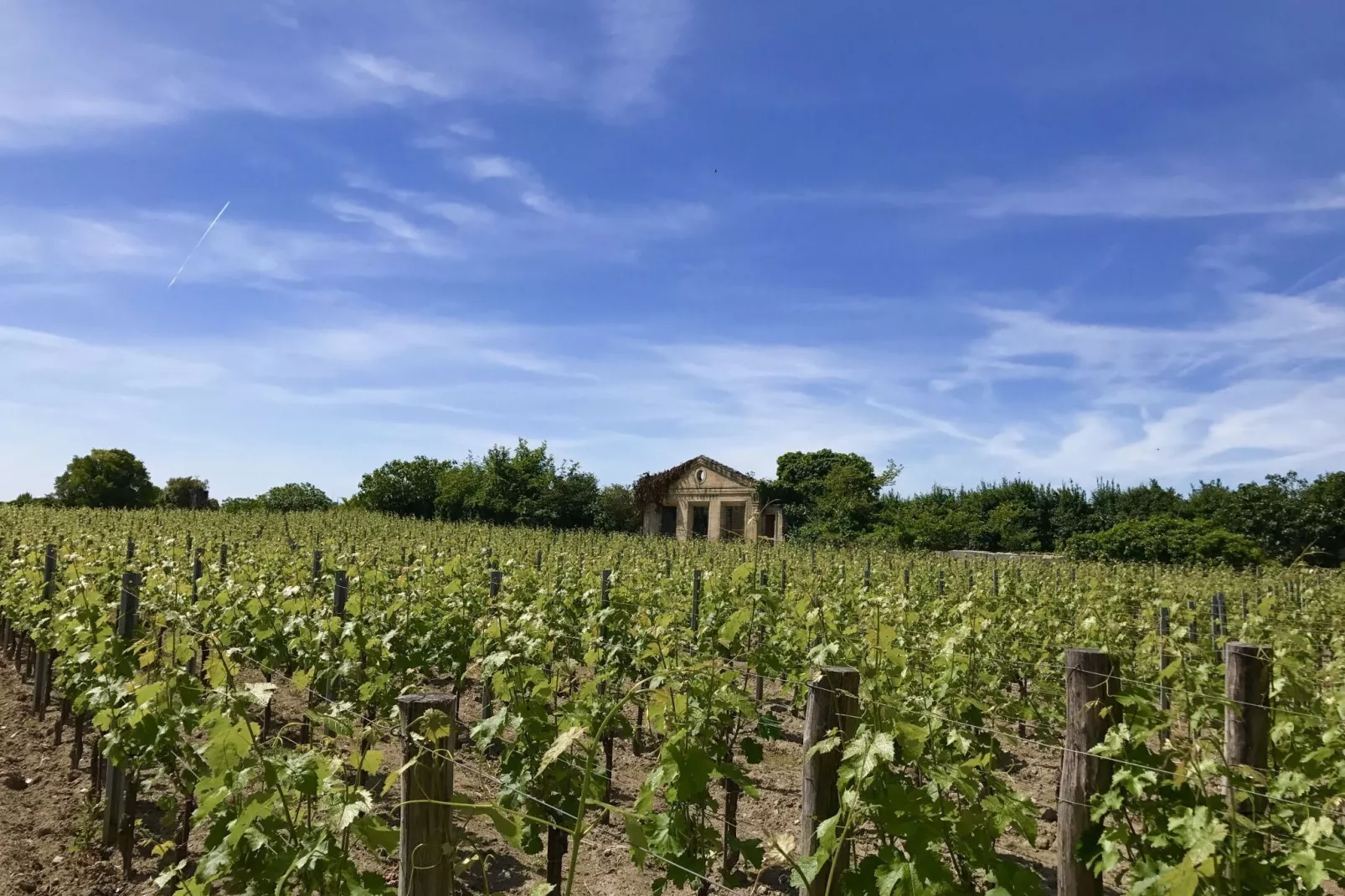 Domaine de Geneviève des Vignes-Gebieden zomer 5km