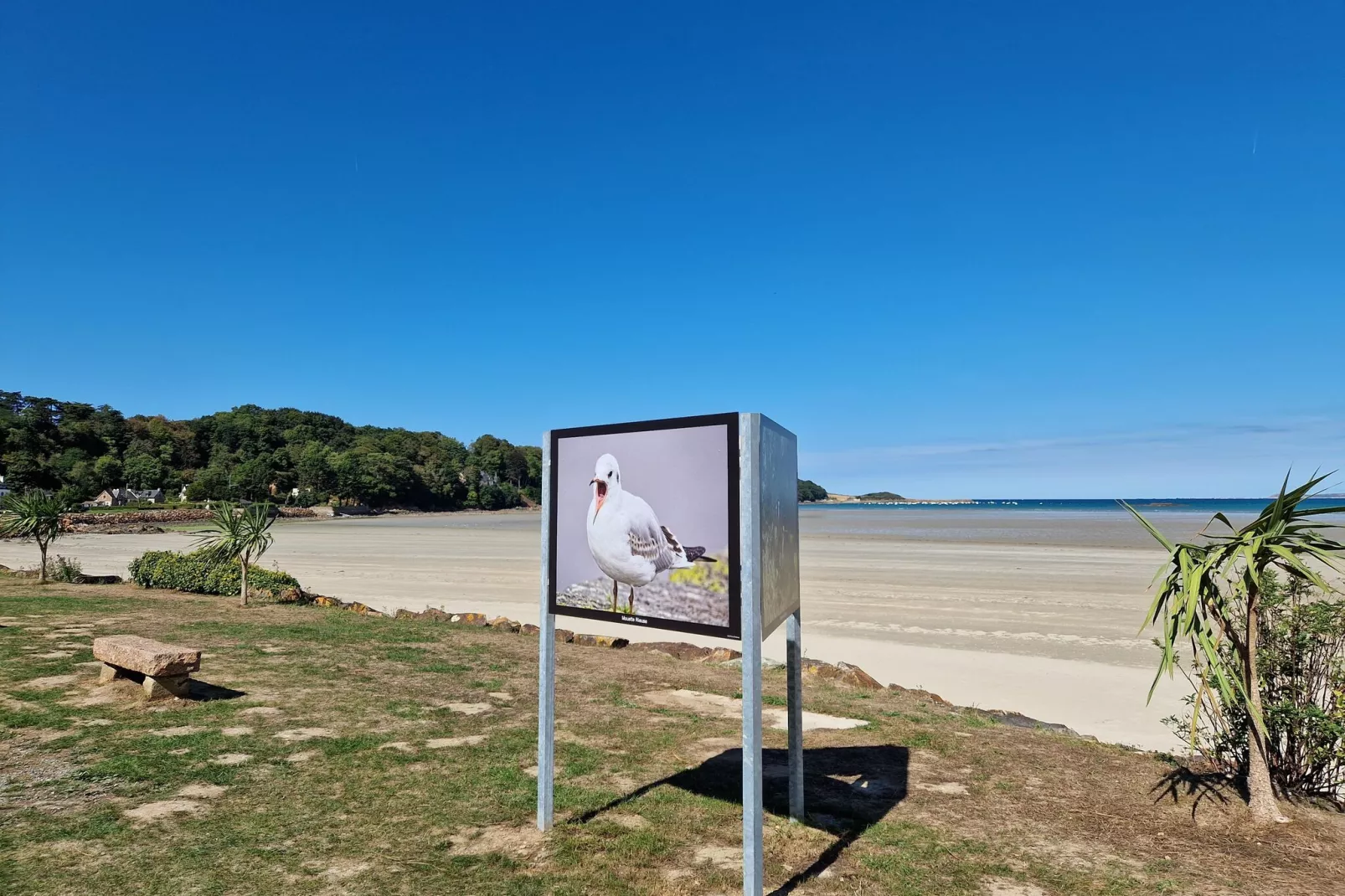 Maison de vacances Ploumilliau-Gebieden zomer 20km