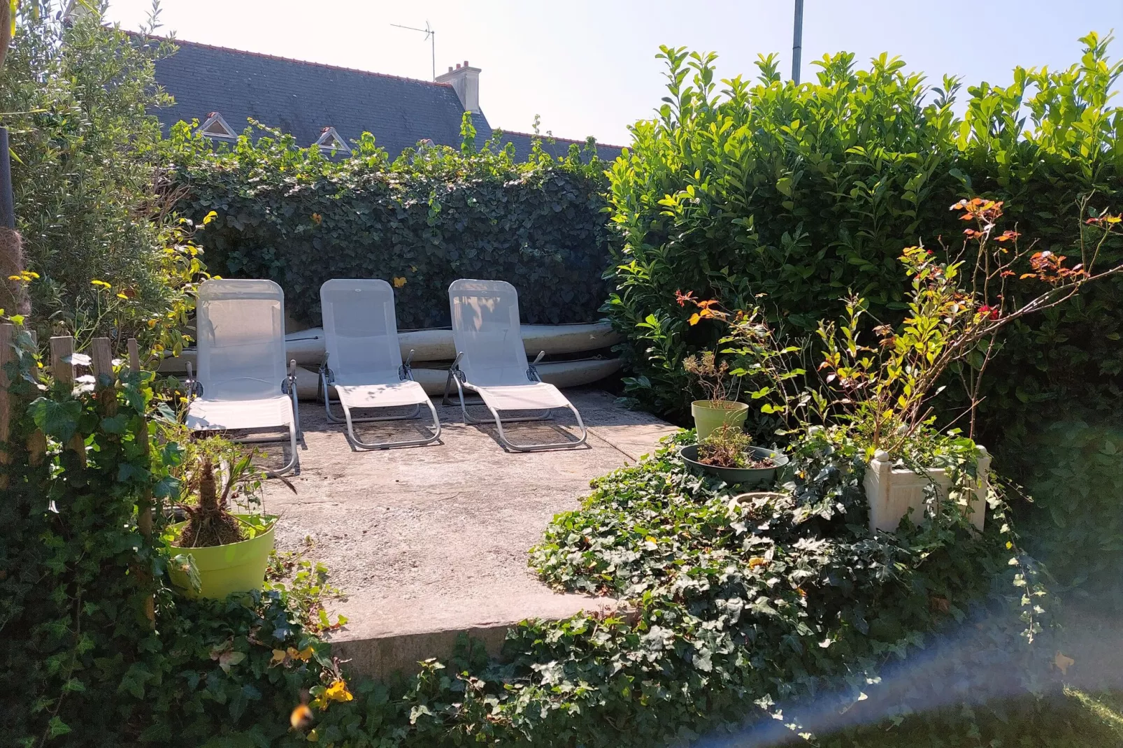 Ferienhaus Plounéour-Brignogan-Plages-Tuinen zomer