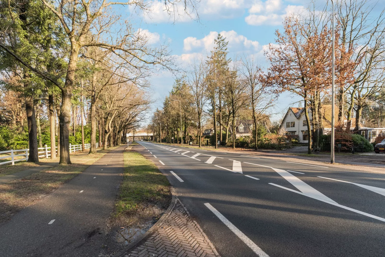 BOSCH-RIJCK 31 Tulp-Gebieden zomer 20km