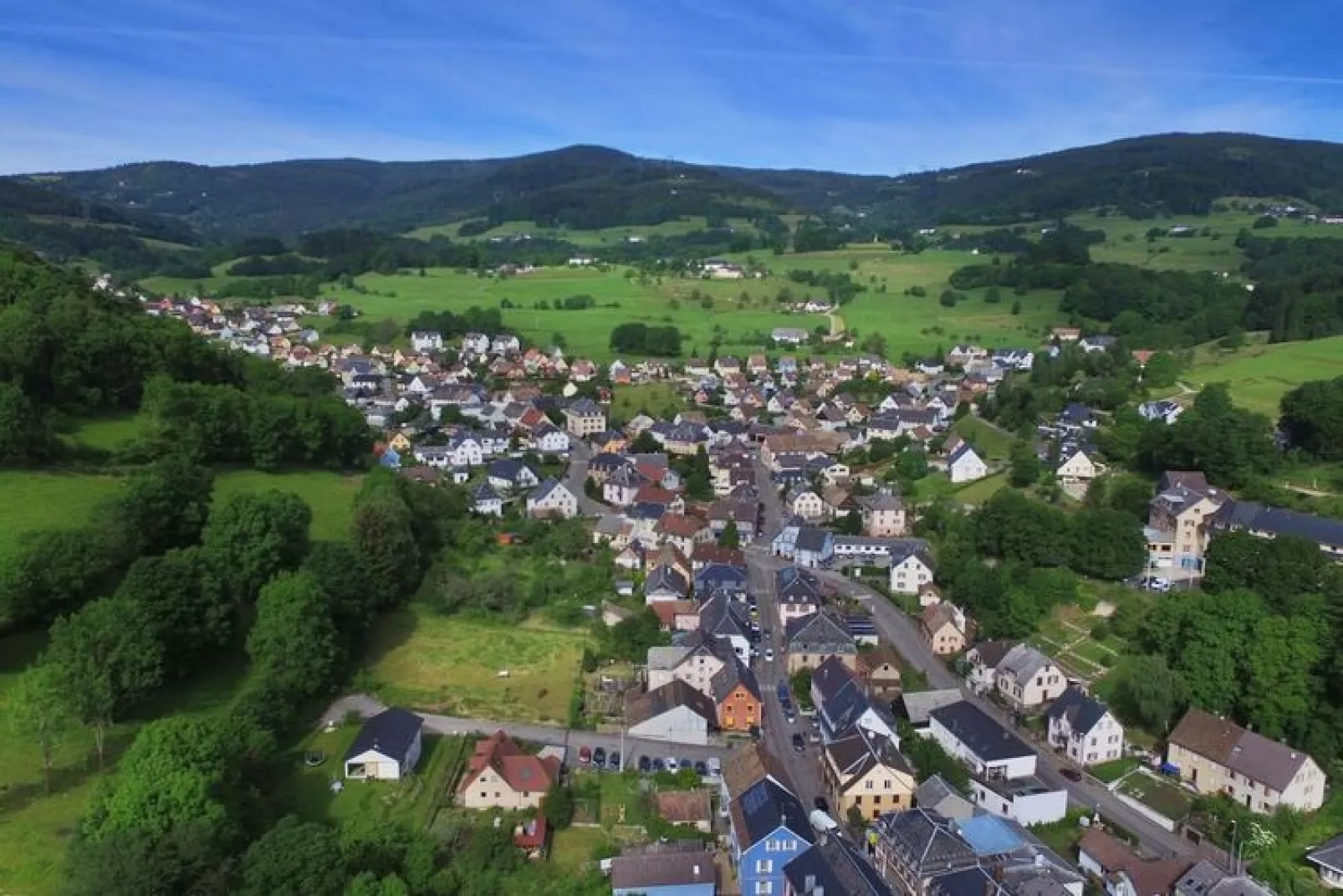 Residence Orbey Alsace // Apt 2 pcs 5 pers et 1 bébé / avec balcon-Gebieden zomer 5km