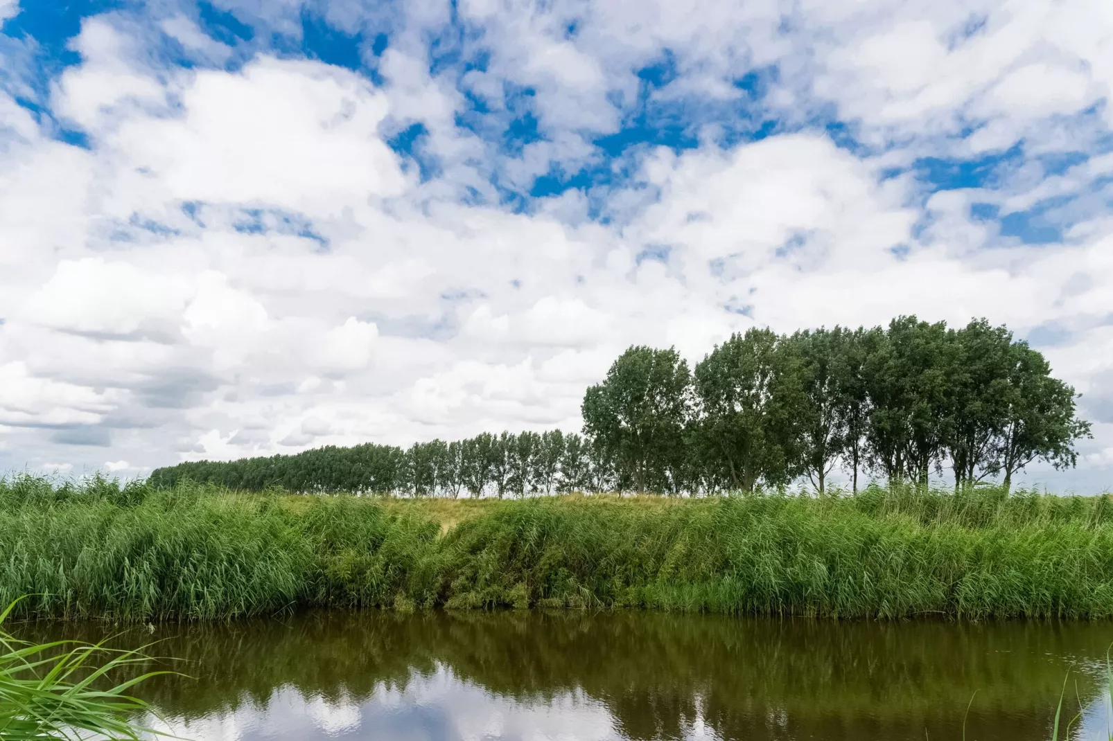 Het Blauwe Huis-Gebieden zomer 5km