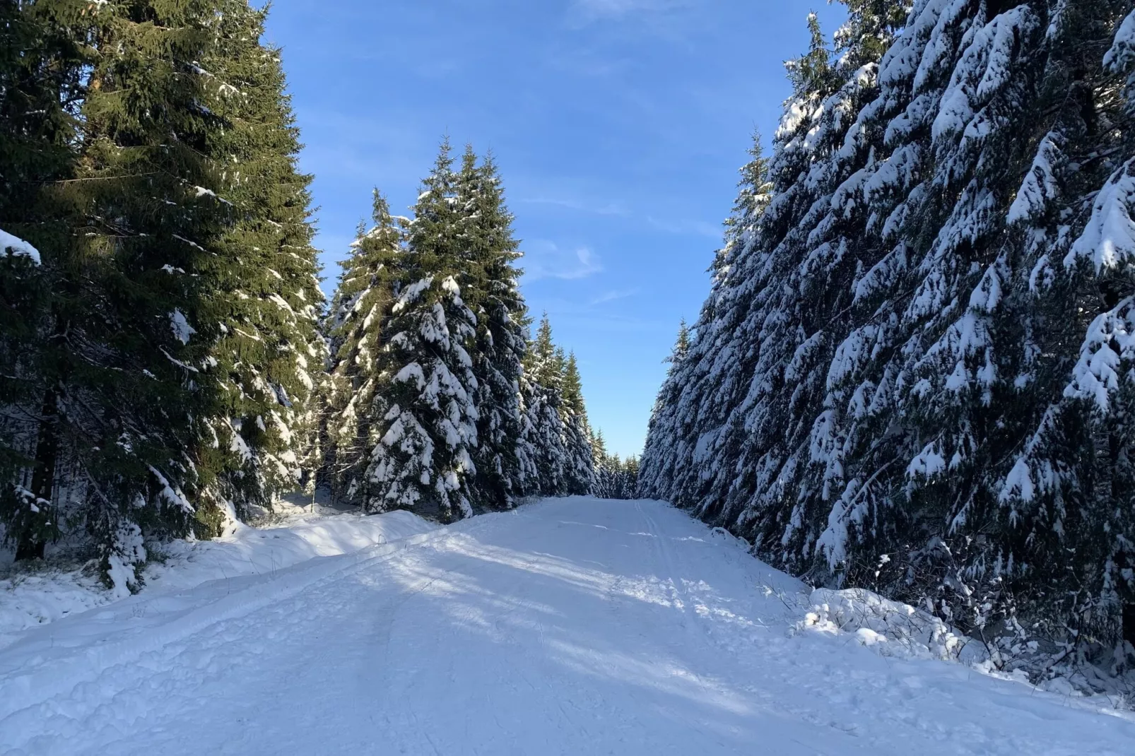 Hautes Fagnes-Gebied winter 20km
