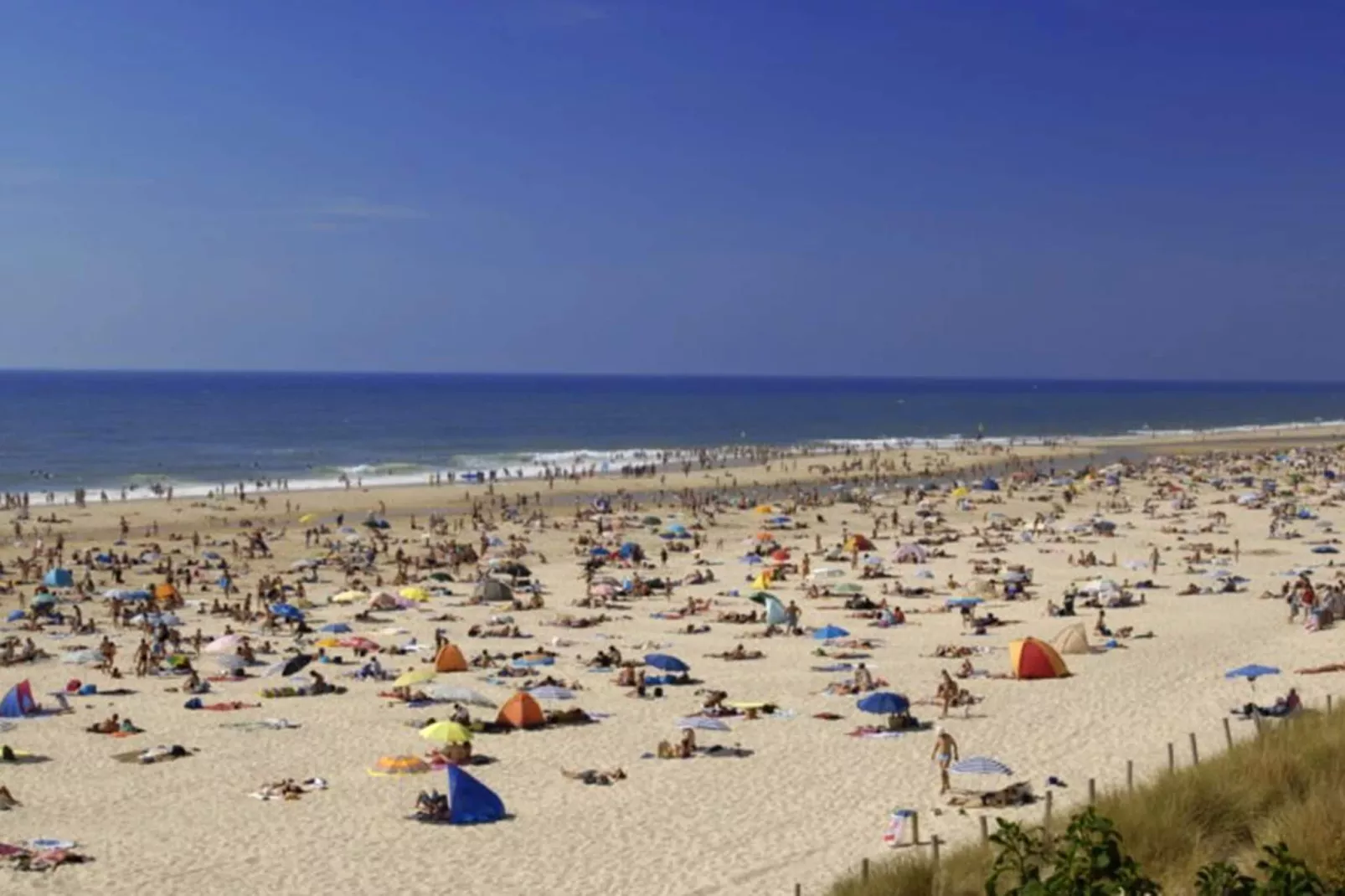 Résidence les Hameaux de l'Océan 2-Gebieden zomer 1km