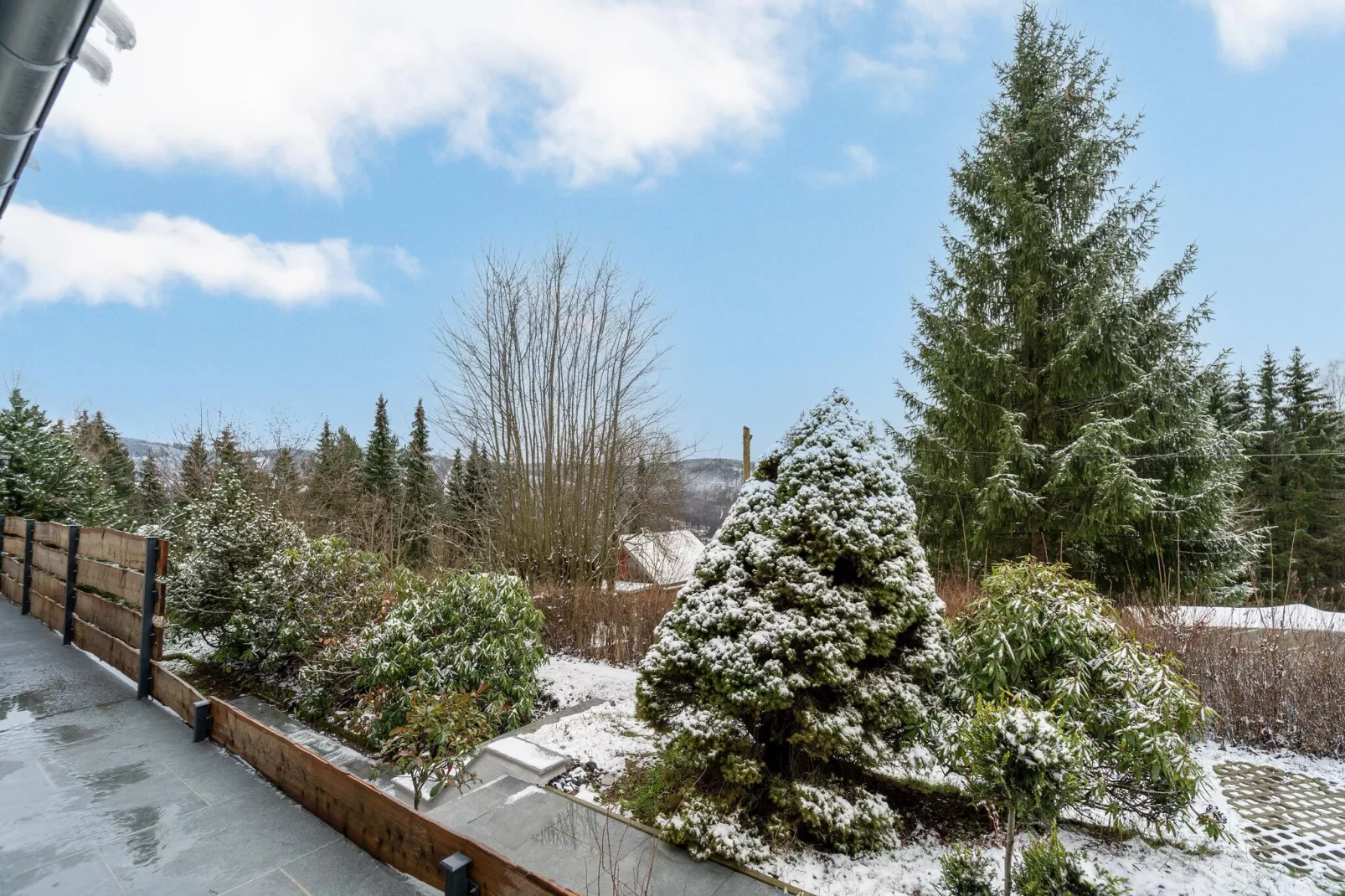 Ferienhaus Selma-Tuin winter