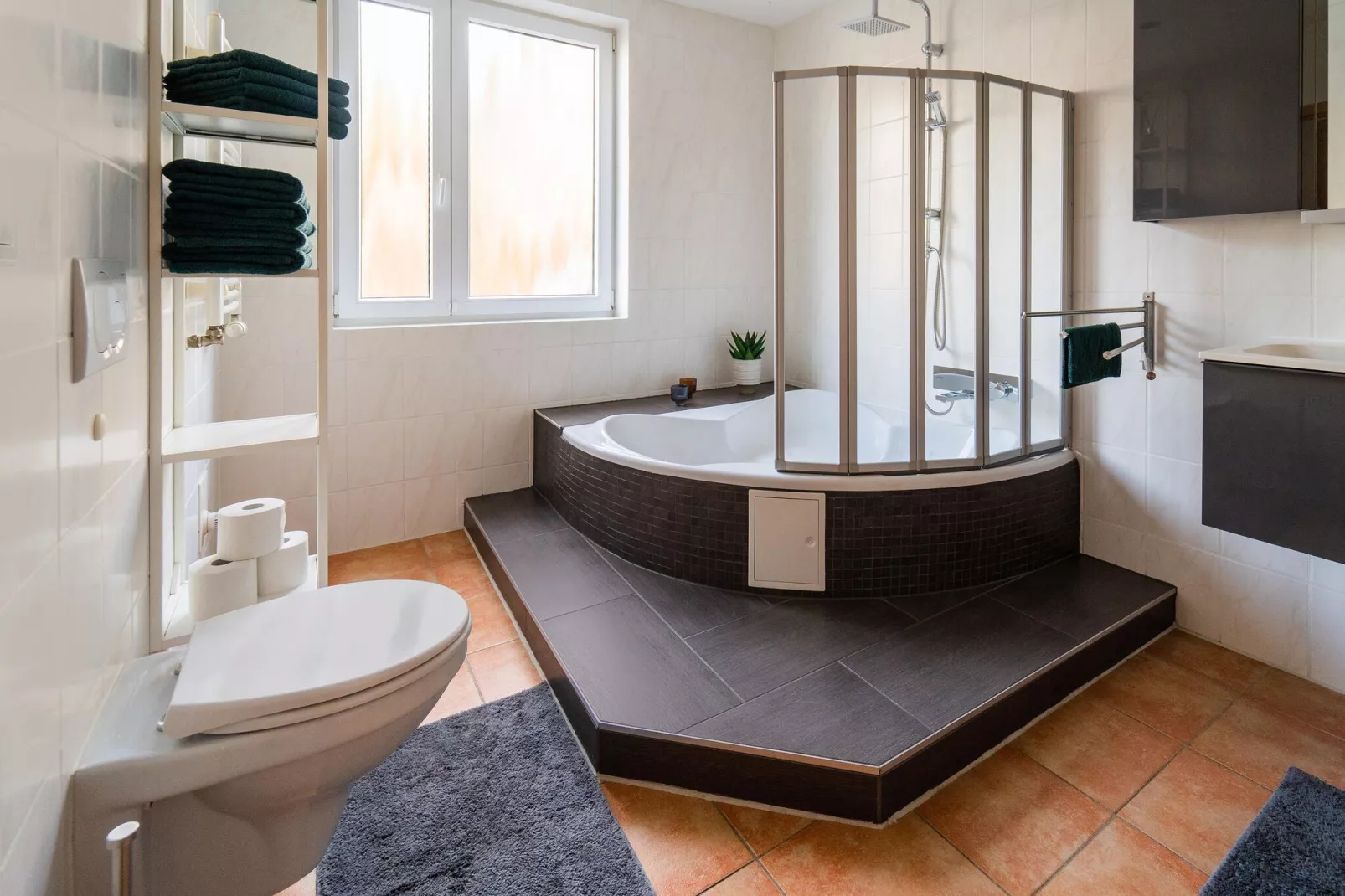 Ferienwohnung Carola-Badkamer