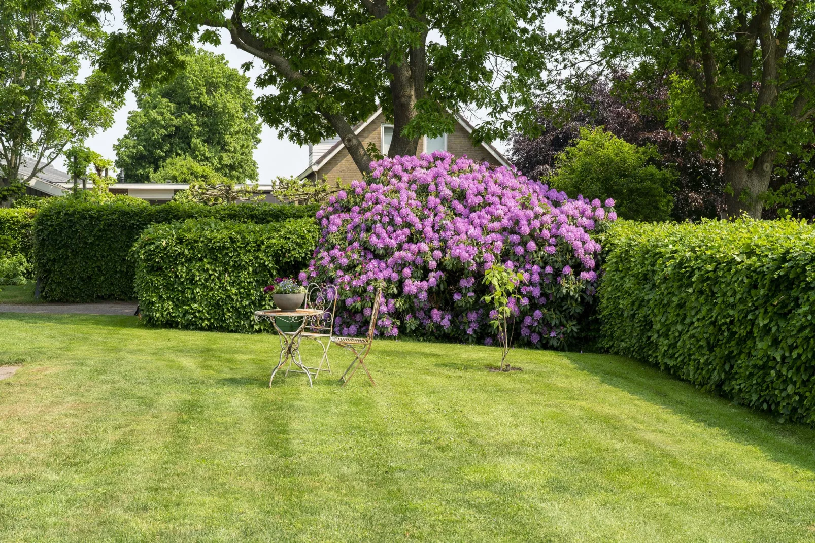 Vakantiehuis De Kolonie-Tuinen zomer