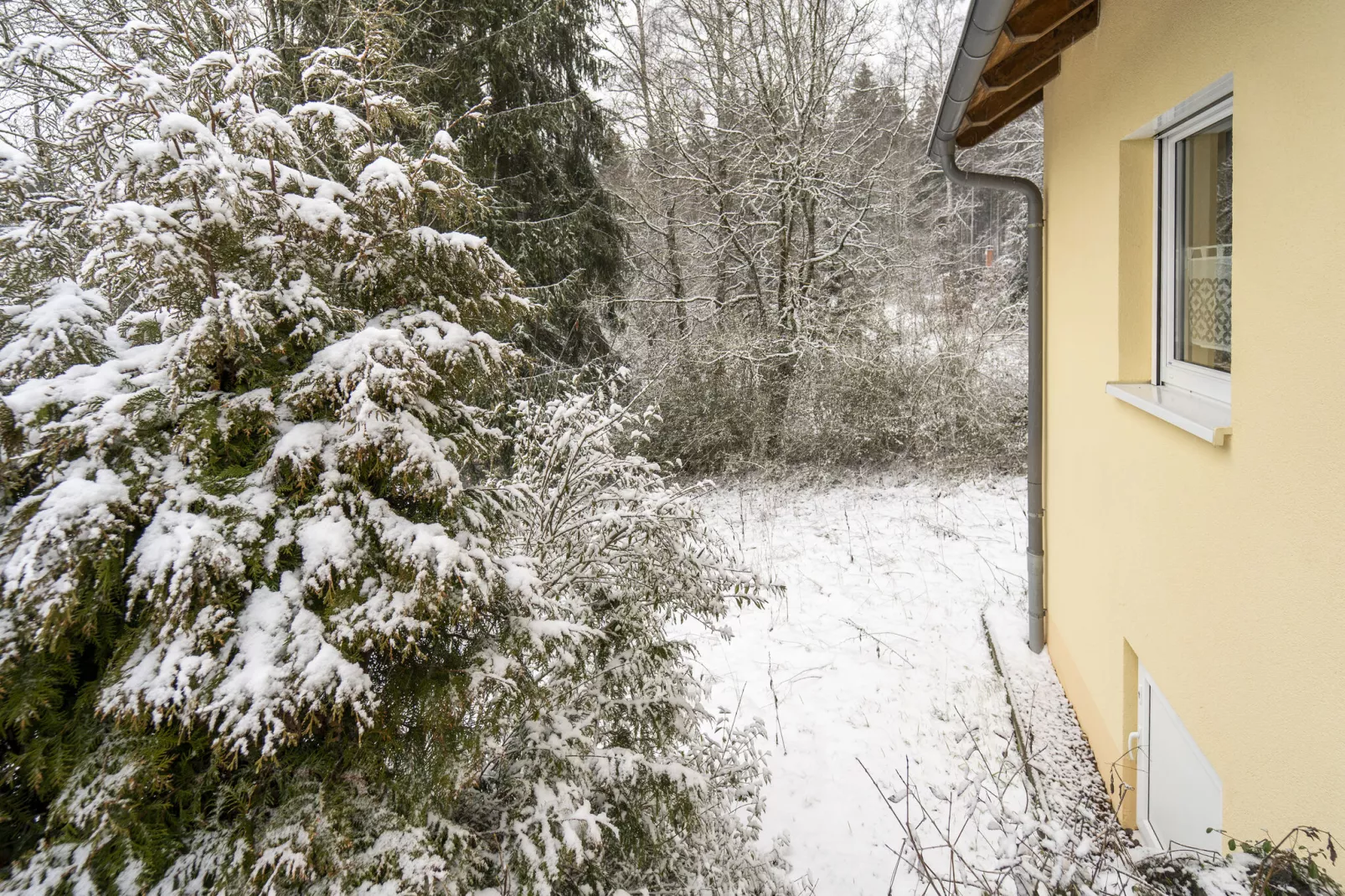 Ferienhaus Konrad-Tuin winter