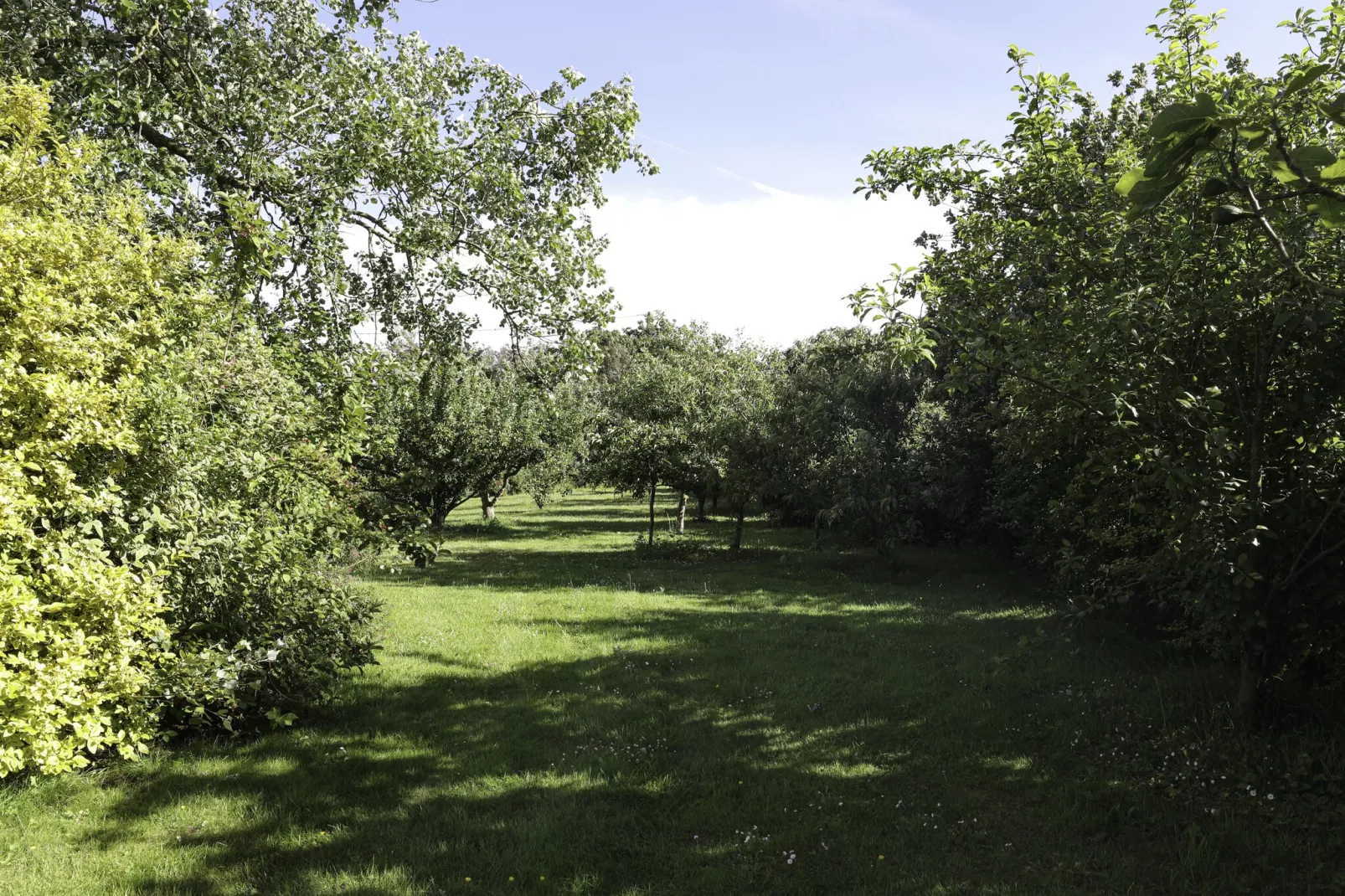 Ferienhaus in Sibiril-Tuinen zomer