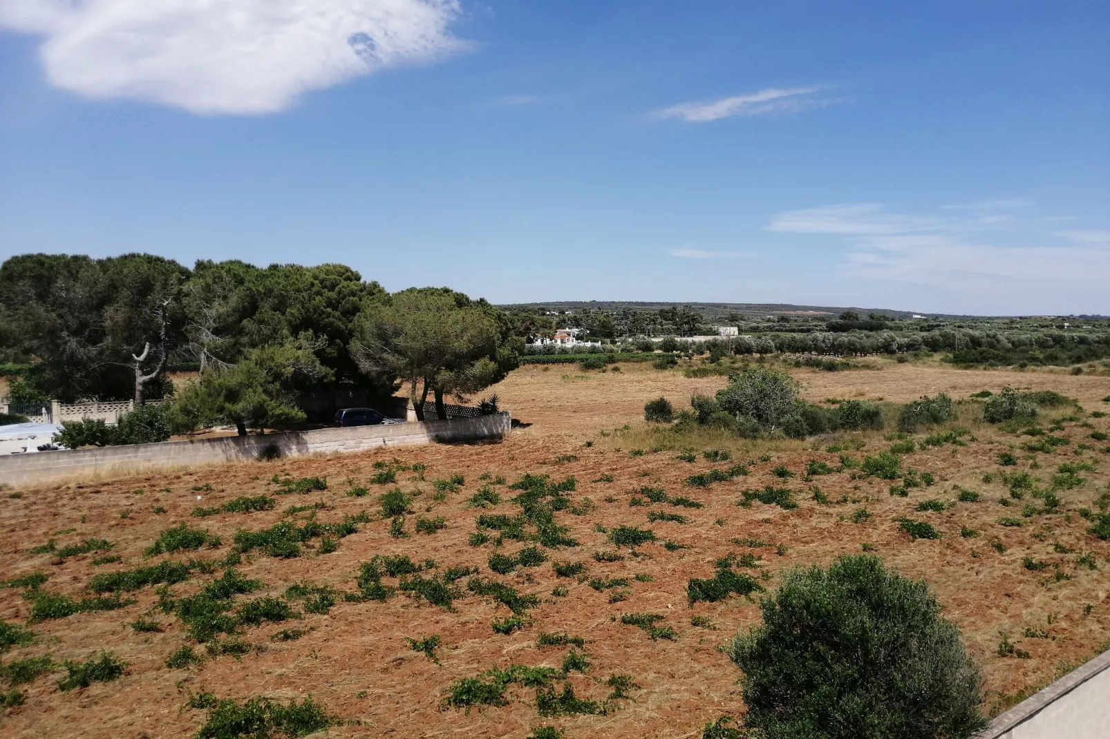 Ferienwohnung Casa Gino in San Pietro in Bavegna / Apulien-Uitzicht zomer