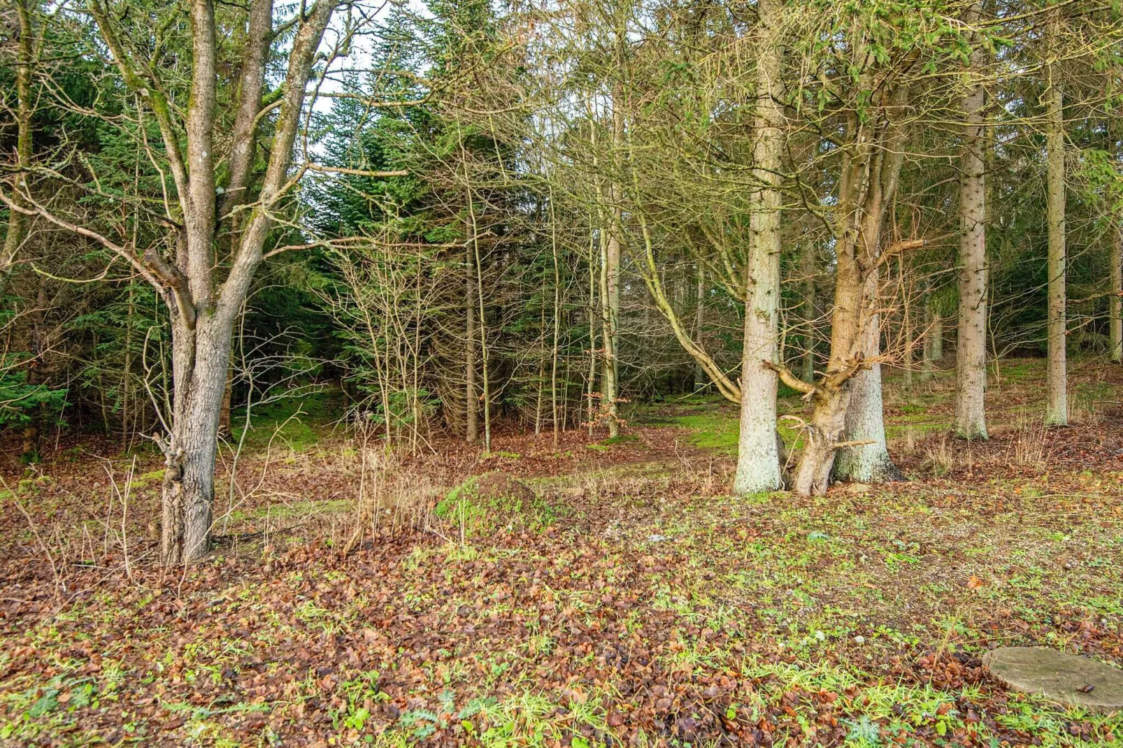 6 persoons vakantie huis in Allingåbro-By Traum-Uitzicht