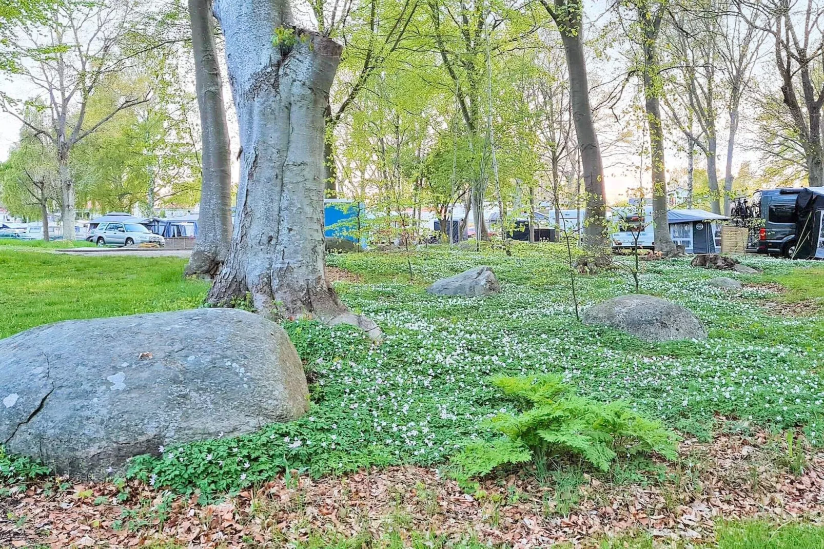 9 persoons vakantie huis in SÖLVESBORG-By Traum-Niet-getagd
