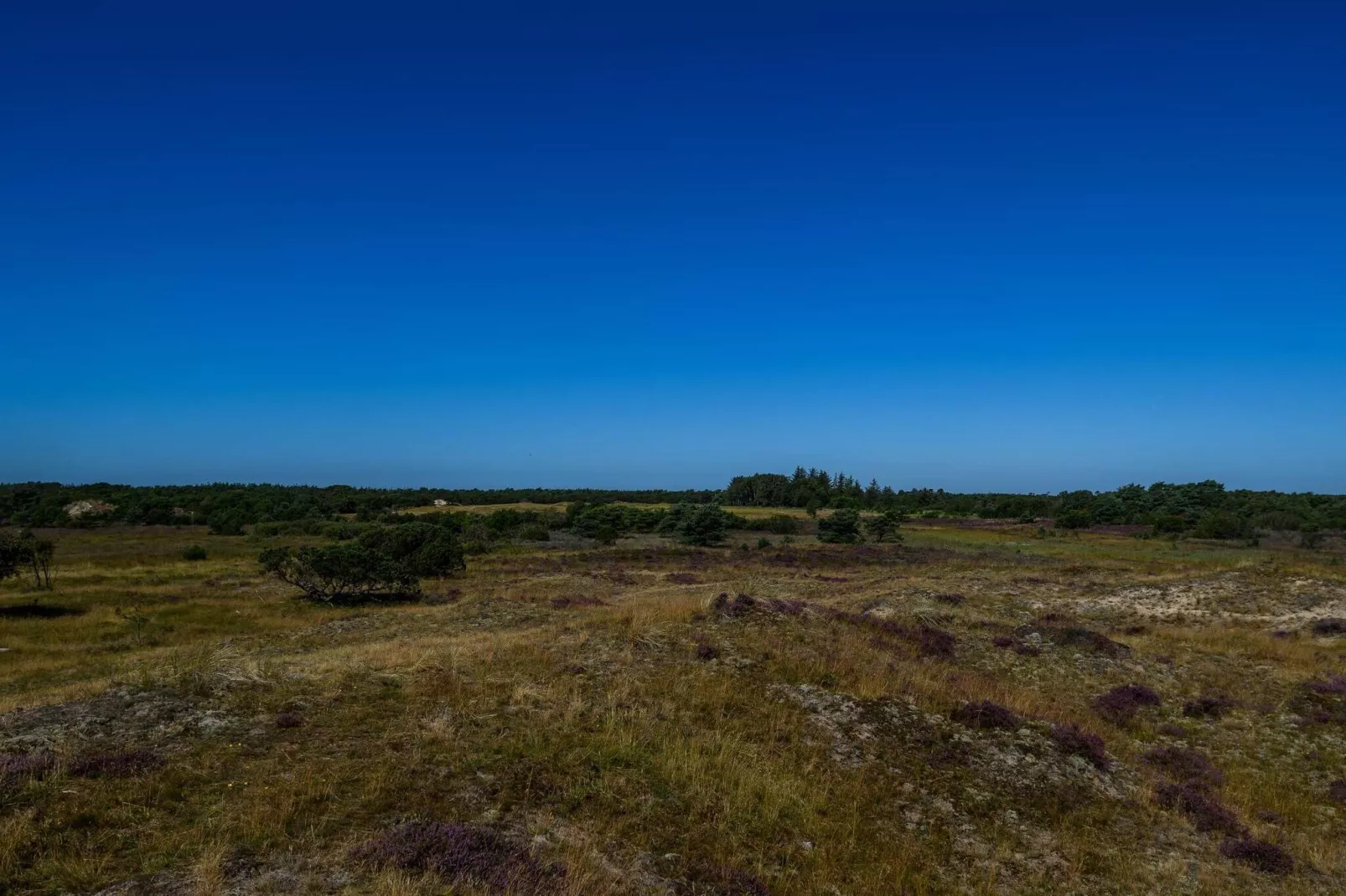 4 persoons vakantie huis in Fanø-Buitenlucht