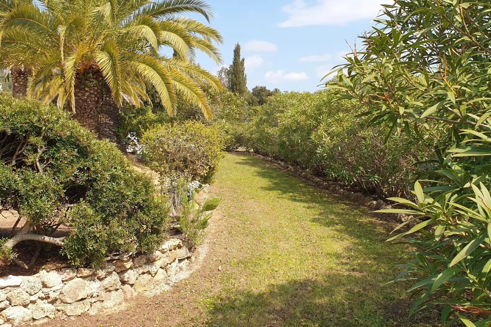 Villa in La Croix-Valmer-Tuinen zomer