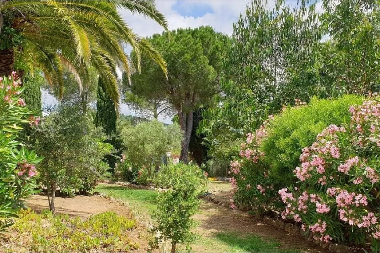 Villa in La Croix-Valmer-Tuinen zomer