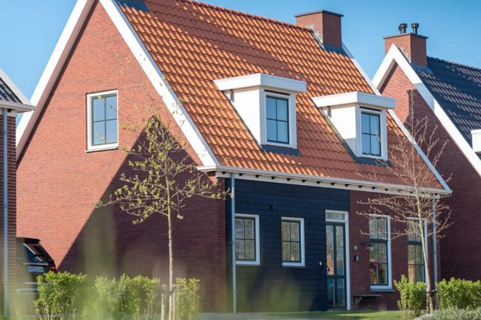 Zeeuwse Pracht 8 p welness-Buitenkant zomer