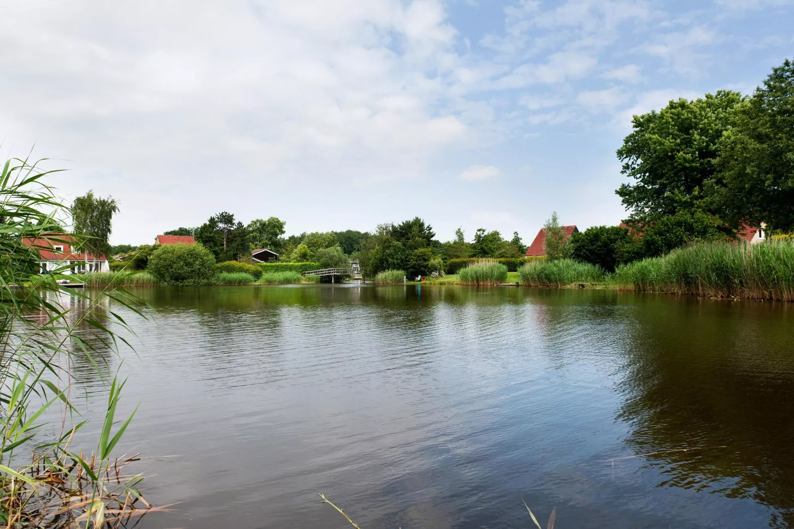 6 pers Renneborghuis Wellness Comfort met sauna-Gebieden zomer 1km