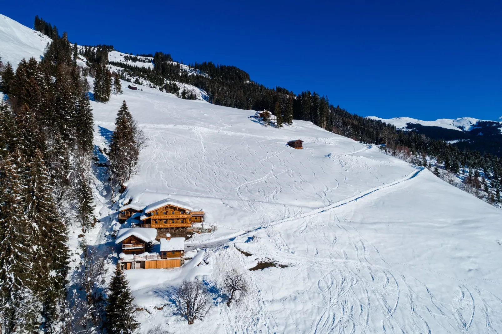 Oberholzlehen Hütte-Exterieur winter