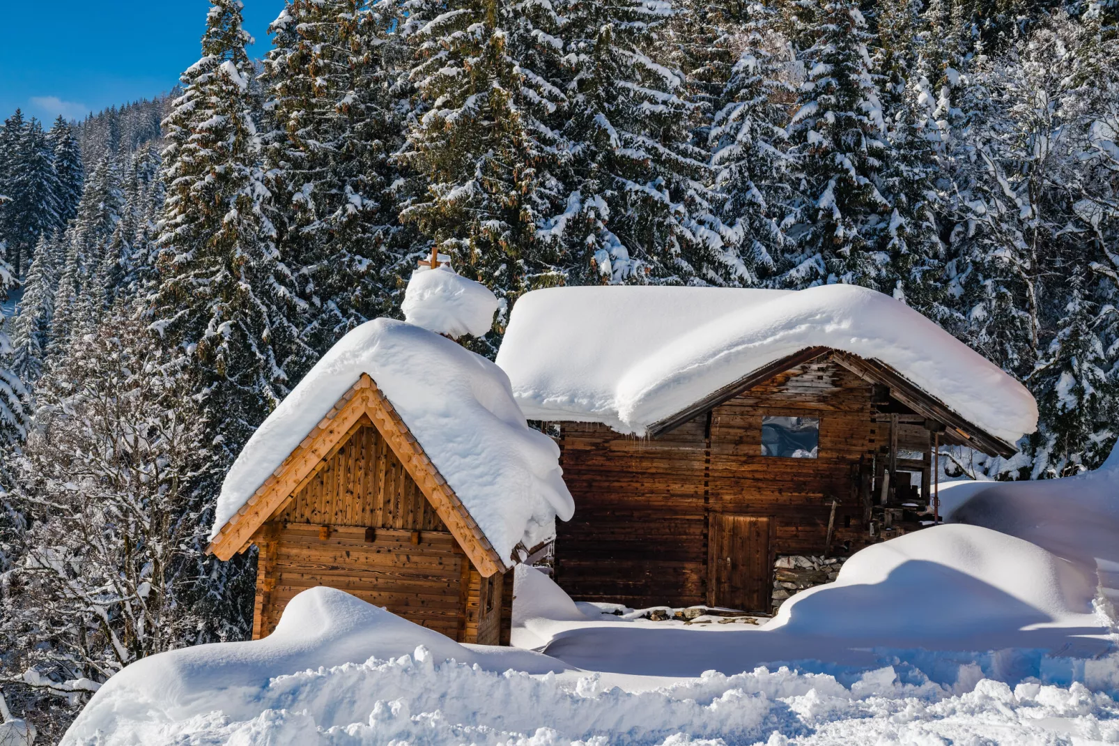 Oberholzlehen Hütte-Exterieur winter