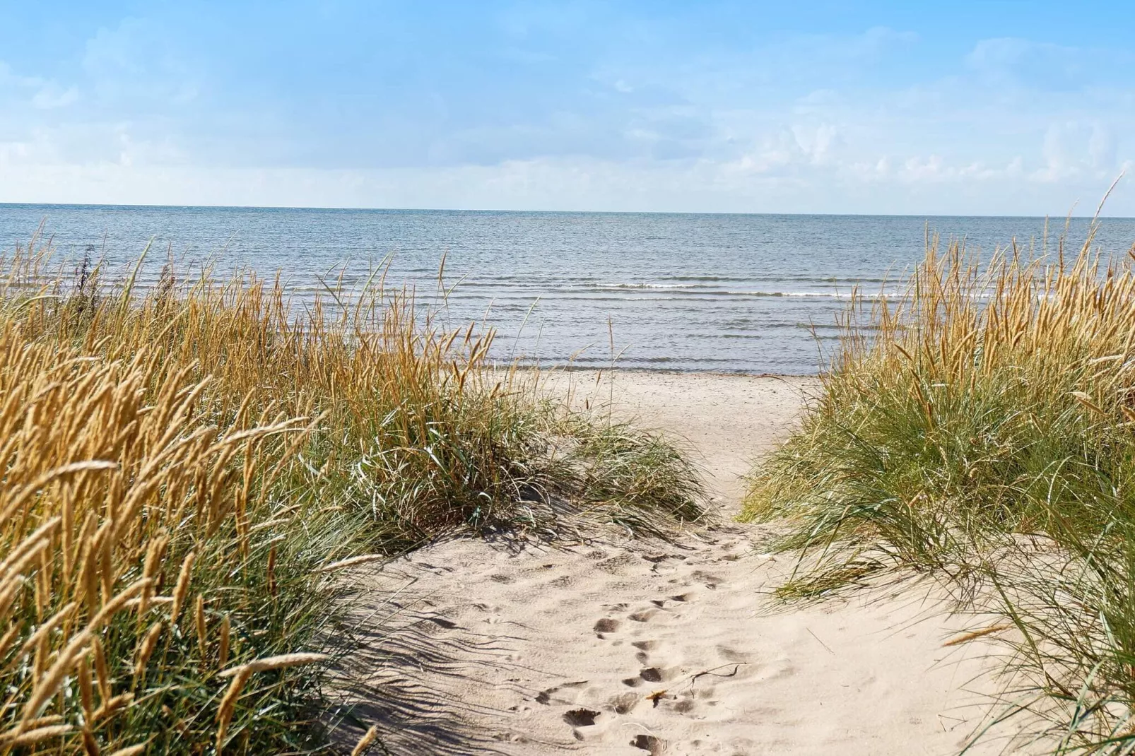 2 persoons vakantie huis in FALKENBERG-By Traum-Niet-getagd