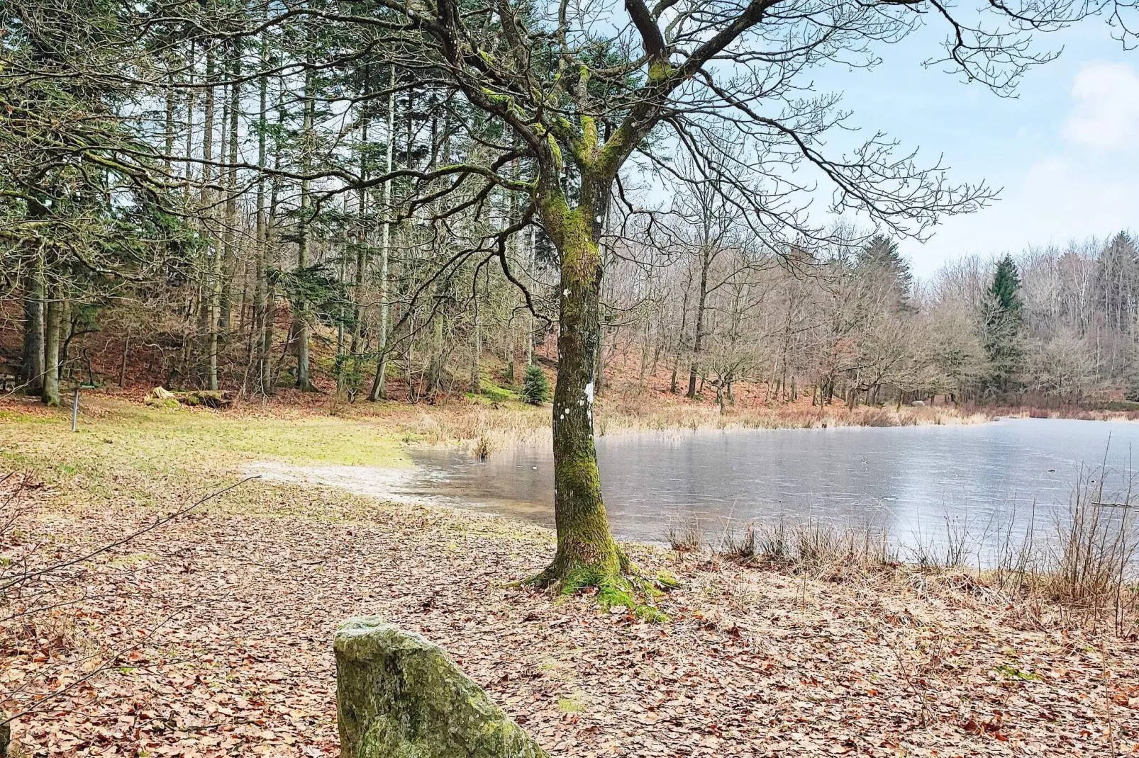 4 persoons vakantie huis in Aars-Buitenlucht