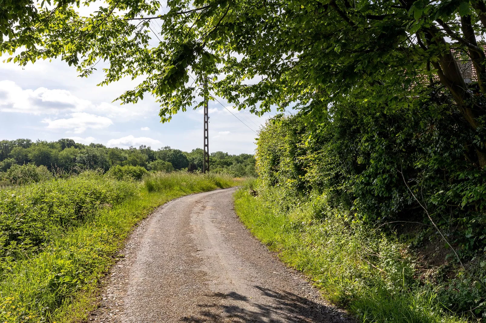 Le Fenil-Gebieden zomer 1km