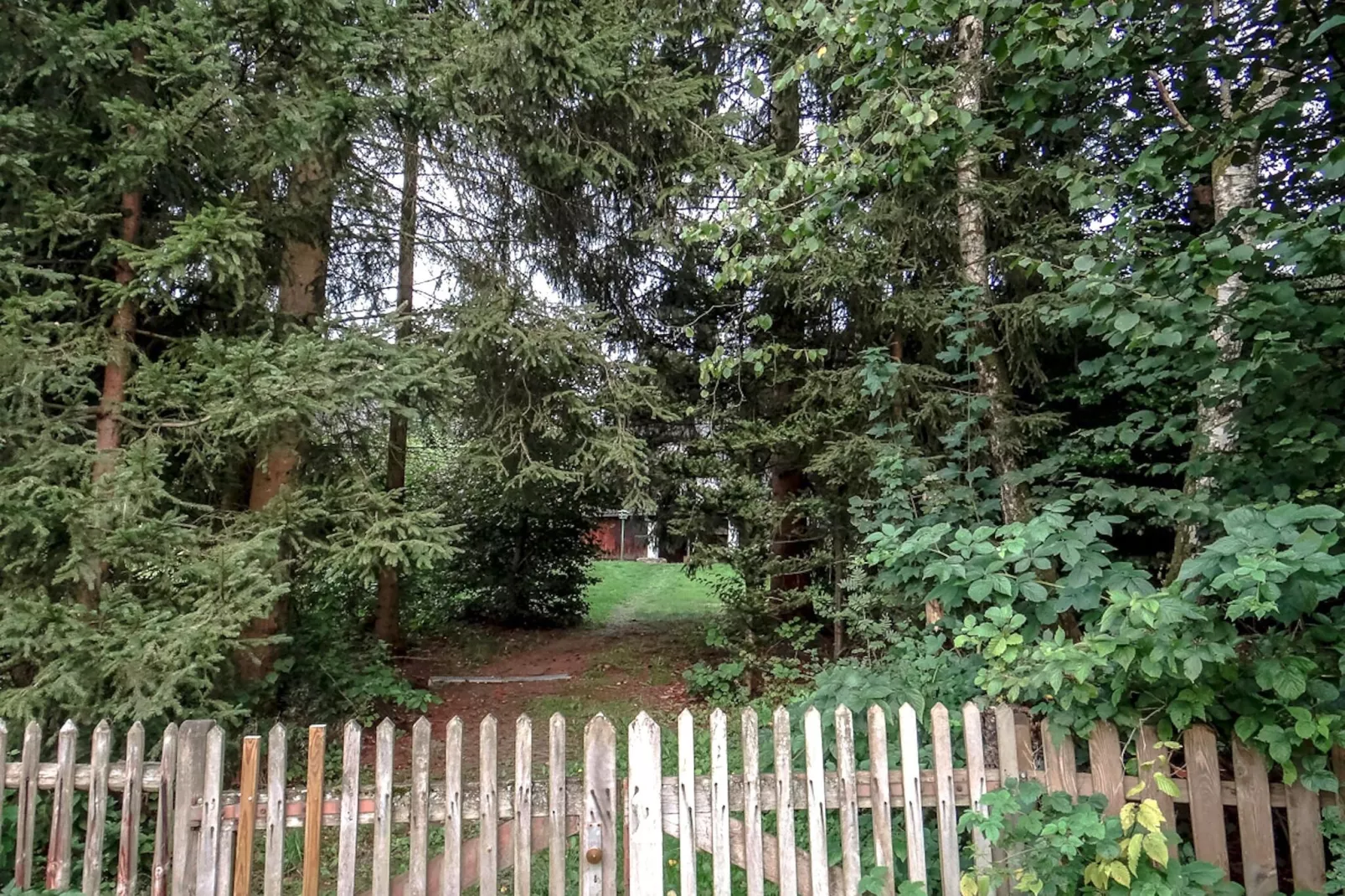 Ferienhaus Luftkurort Oberhundem-Uitzicht zomer