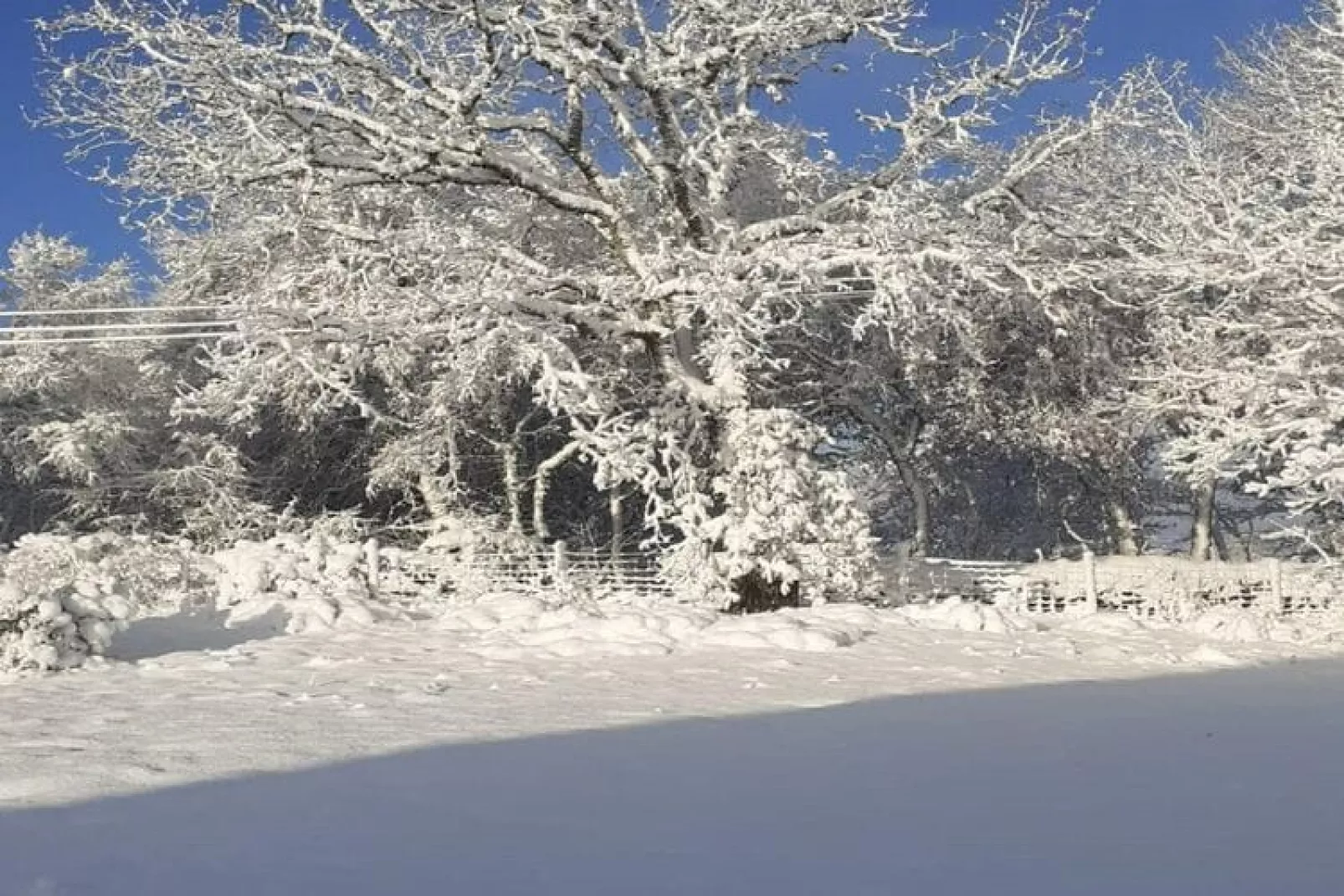 Le Place-Uitzicht winter