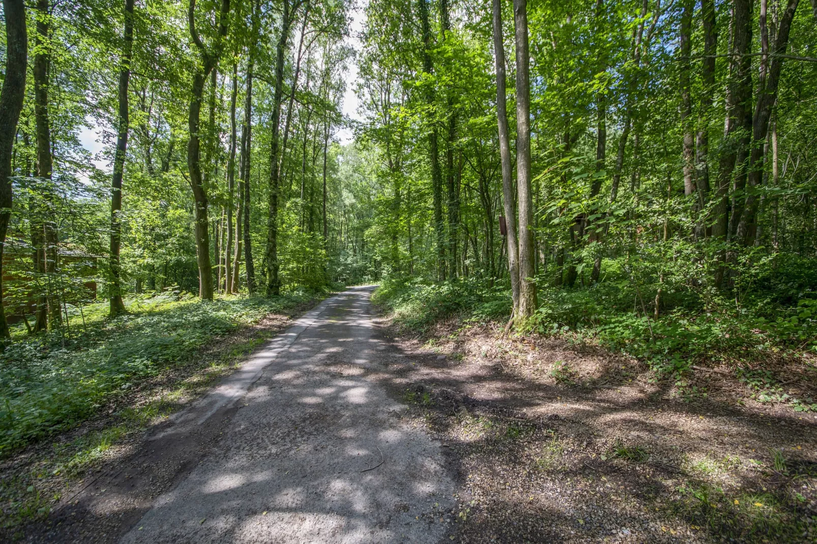 Chalet Petite Source-Gebieden zomer 1km