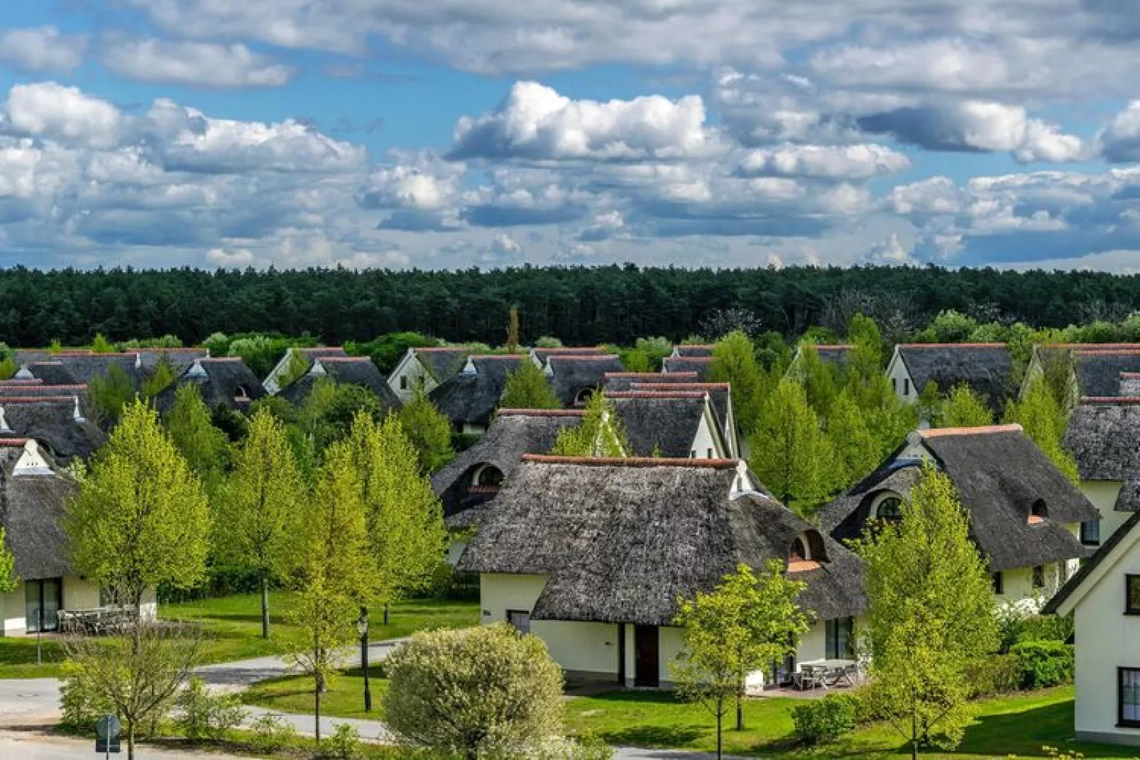 Ferienhaus Typ A 120 qm-Buitenkant zomer