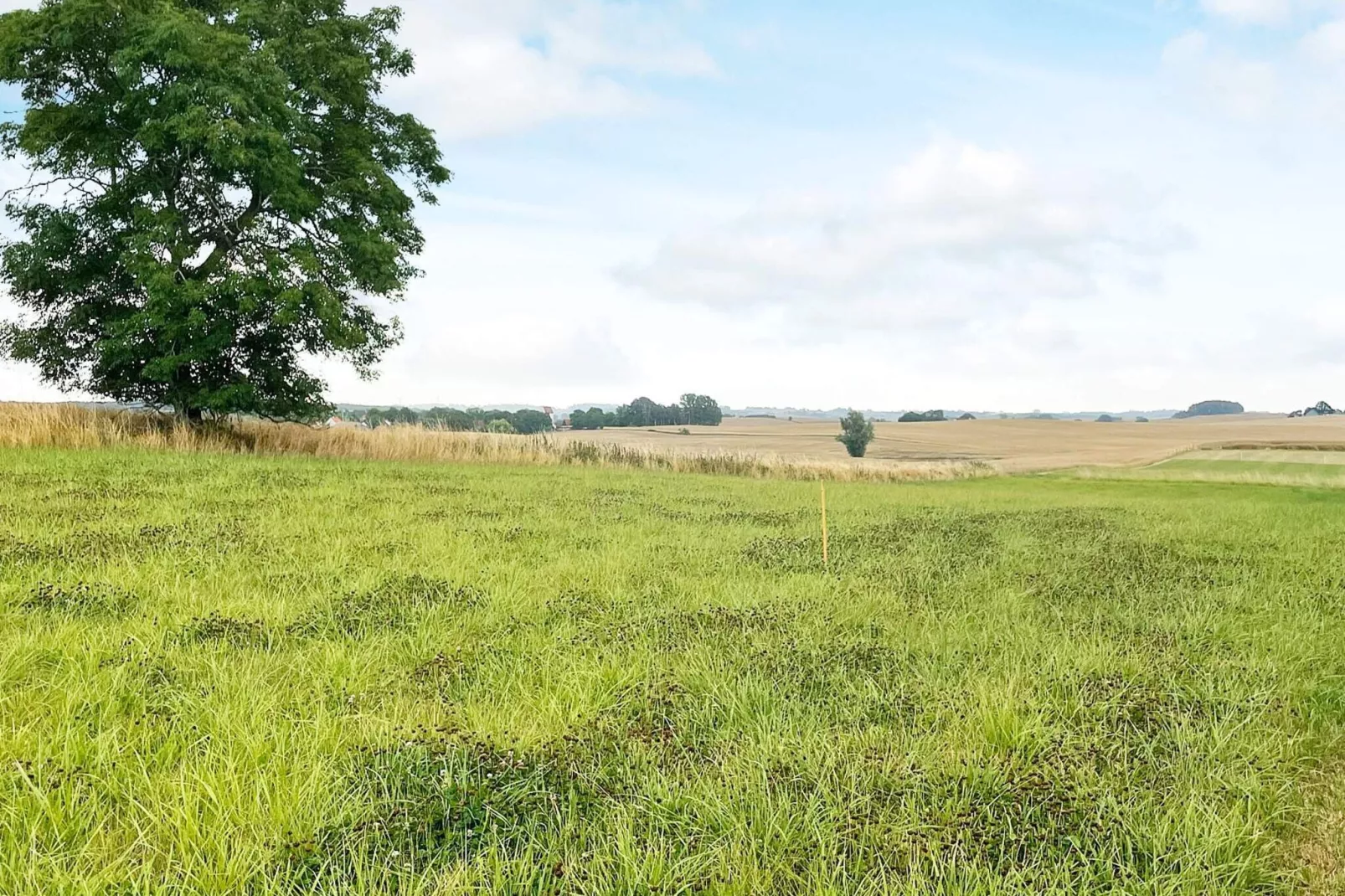 4 persoons vakantie huis in YSTAD-Buitenlucht