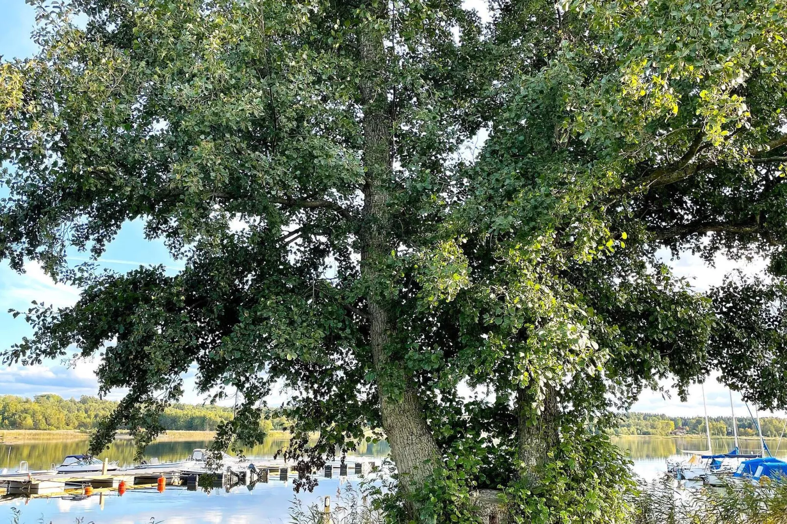 9 persoons vakantie huis in LIDKÖPING-By Traum-Niet-getagd