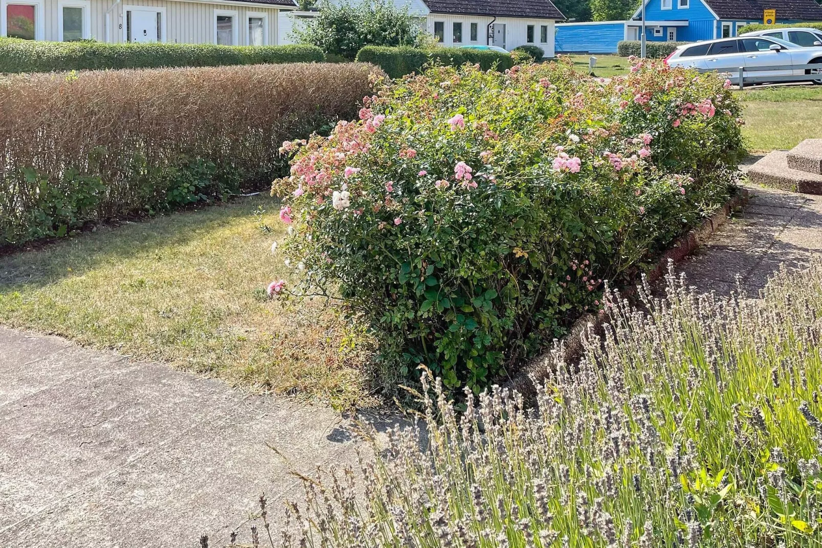 6 persoons vakantie huis in KÖPINGSVIK-Buitenlucht