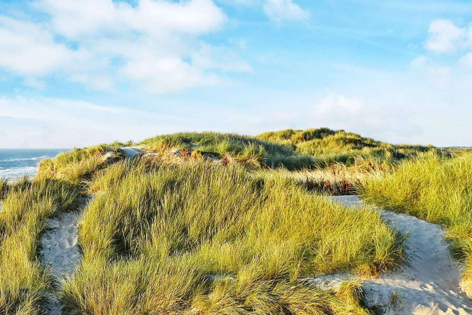 7 persoons vakantie huis in Hvide Sande-By Traum-Niet-getagd