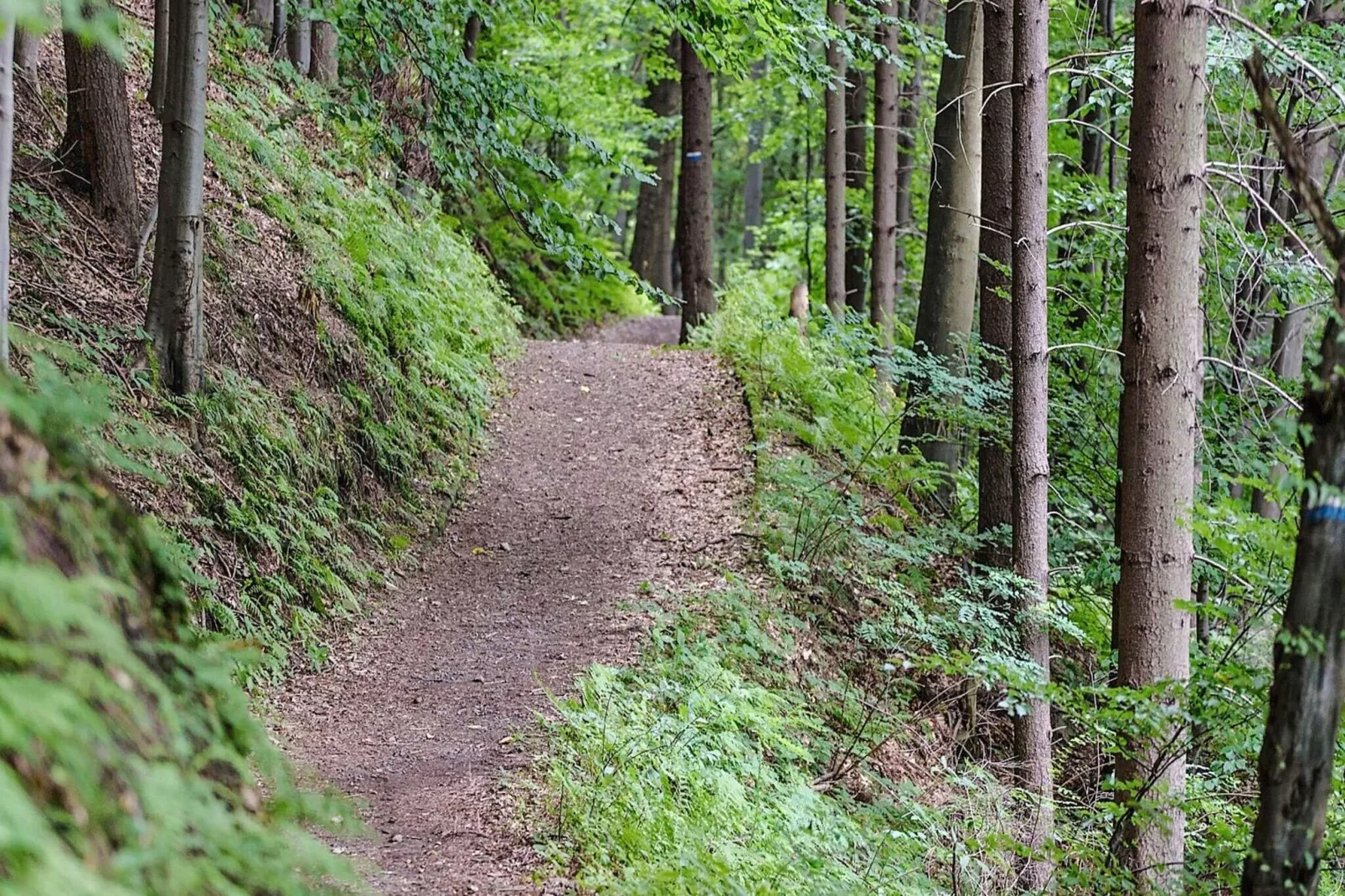 7 persoons vakantie huis in SKOG-Niet-getagd