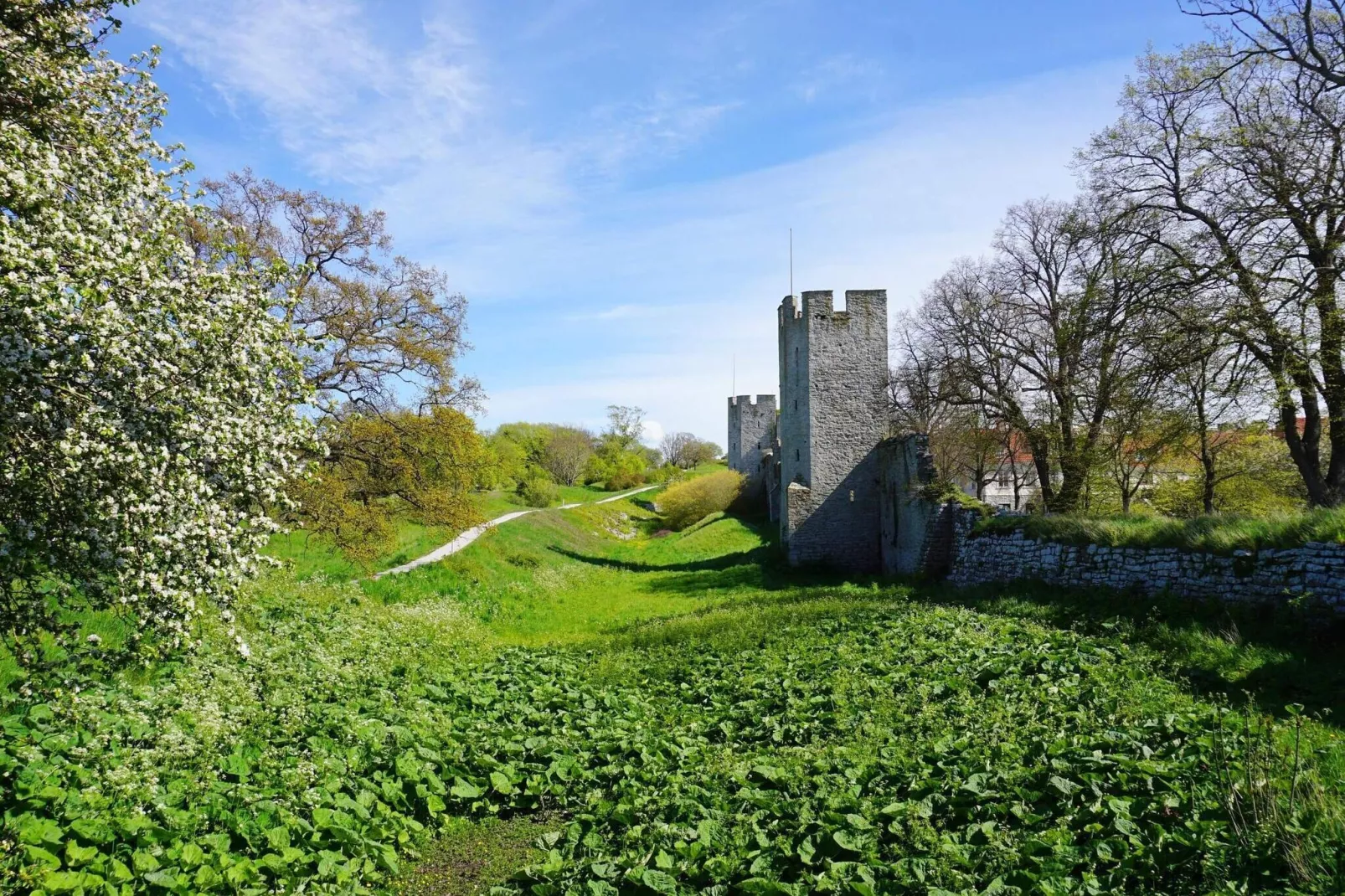 6 persoons vakantie huis in GOTLANDS TOFTA-Niet-getagd