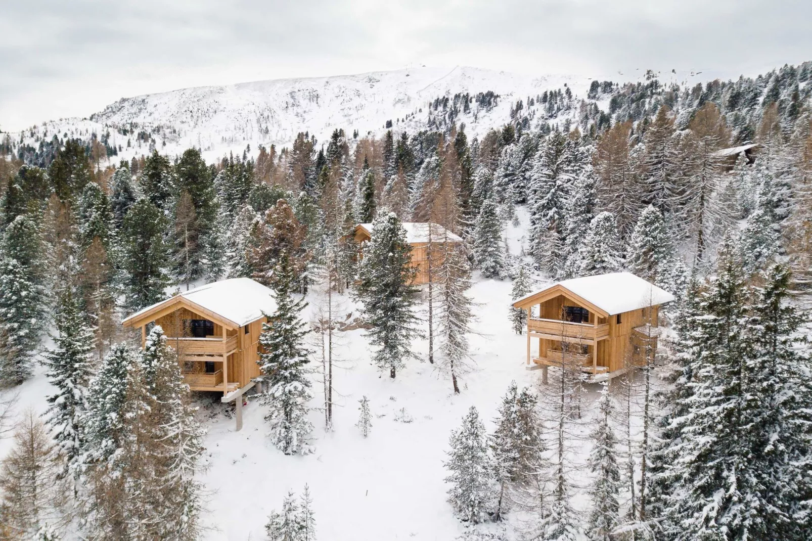 Naturchalets Turracher Höhe 1-Exterieur winter