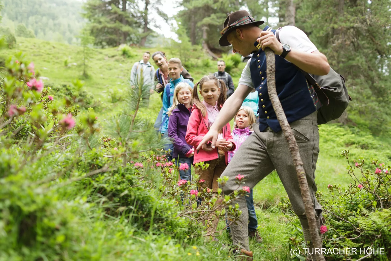 Naturchalets Turracher Höhe 1-Gebieden zomer 5km