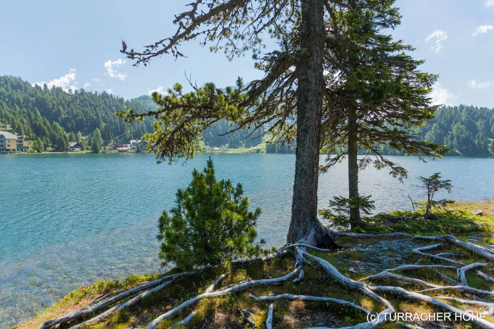 Naturchalets Turracher Höhe 1-Gebieden zomer 5km