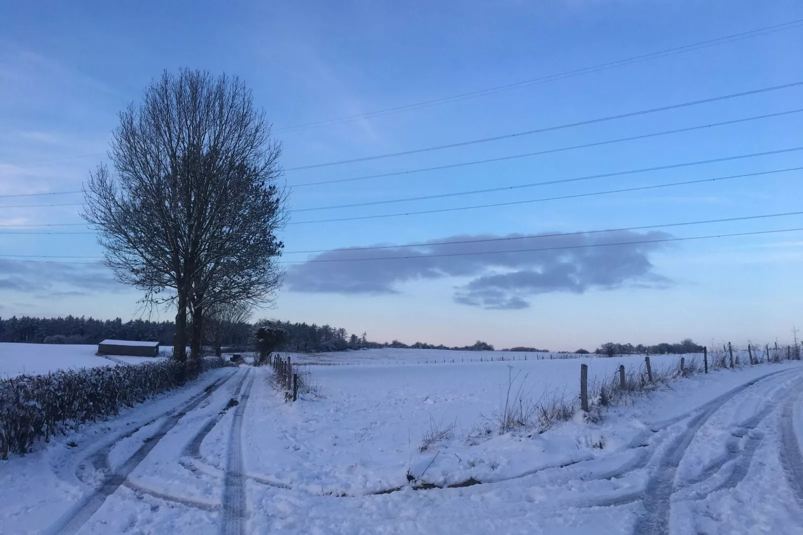La ferme de Filot-Gebied winter 1km