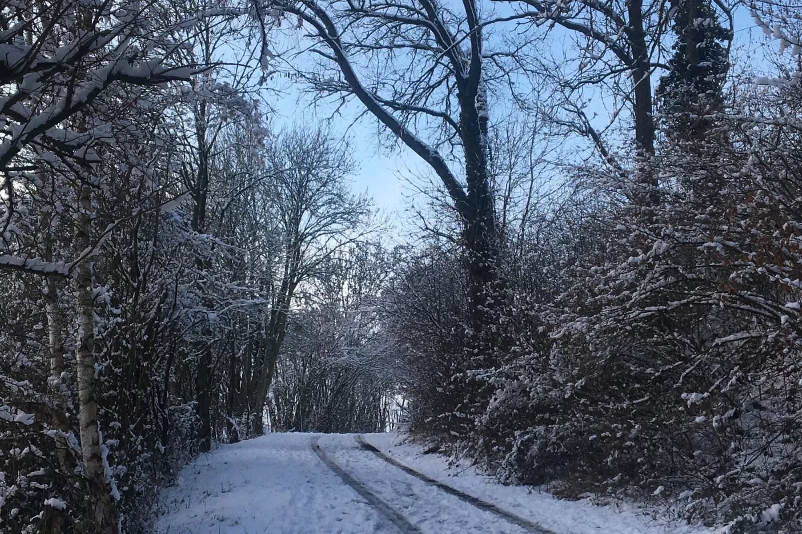 La ferme de Filot-Gebied winter 1km