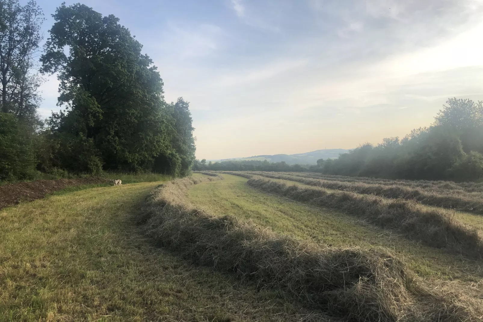 La ferme de Filot-Niet-getagd