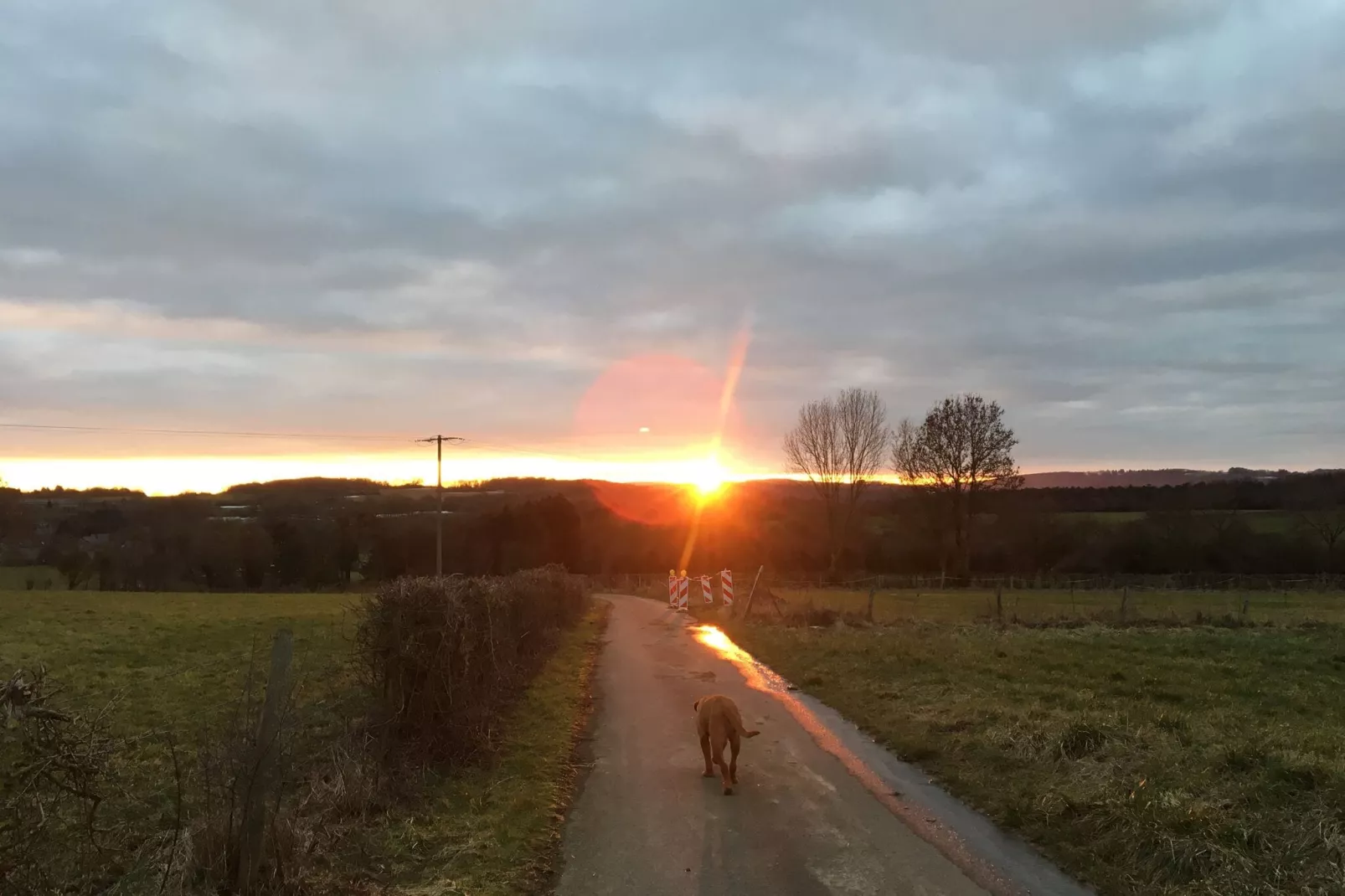 La ferme de Filot-Niet-getagd